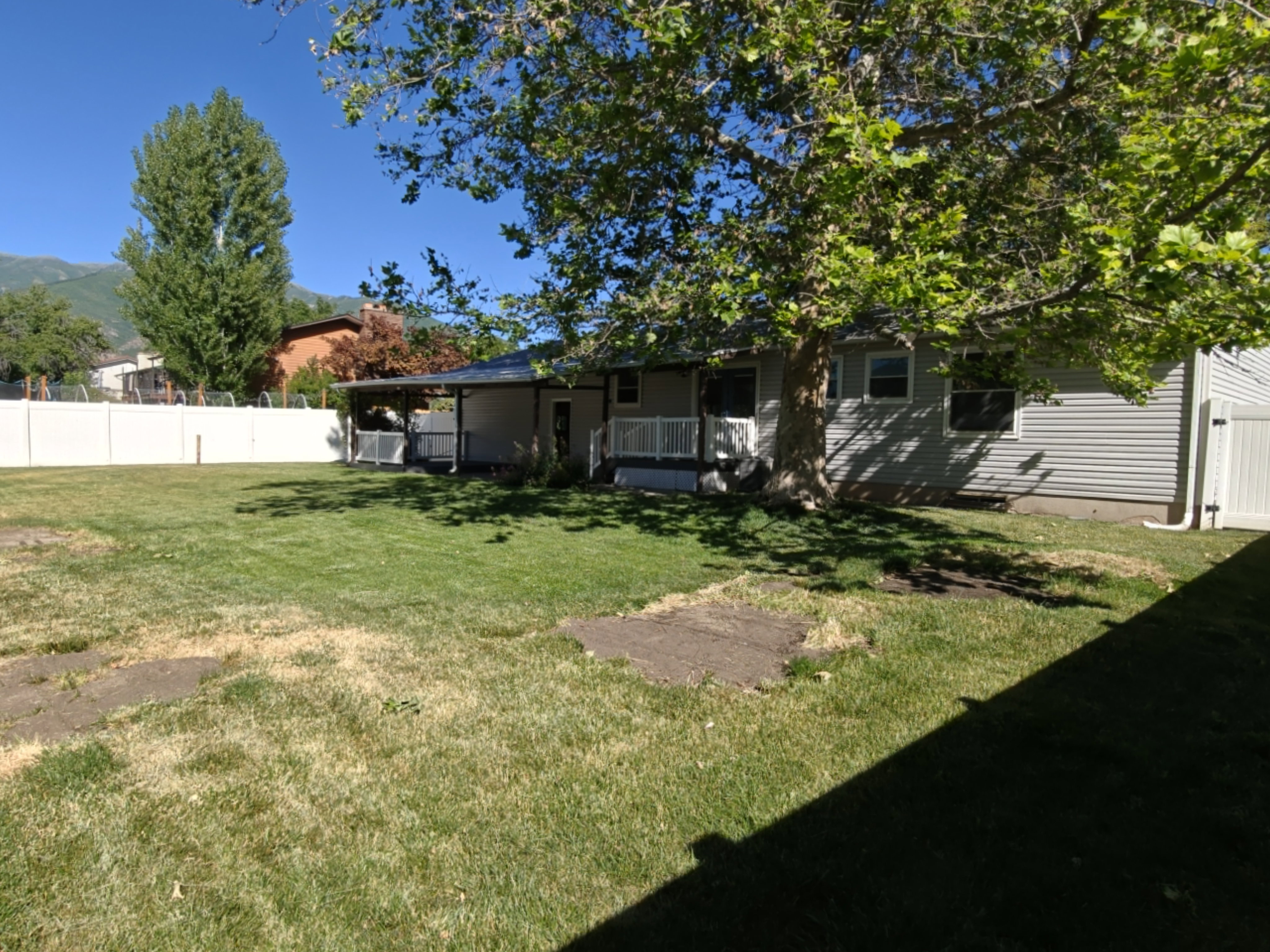 Expansive grassy yard with a white privacy fence and established trees