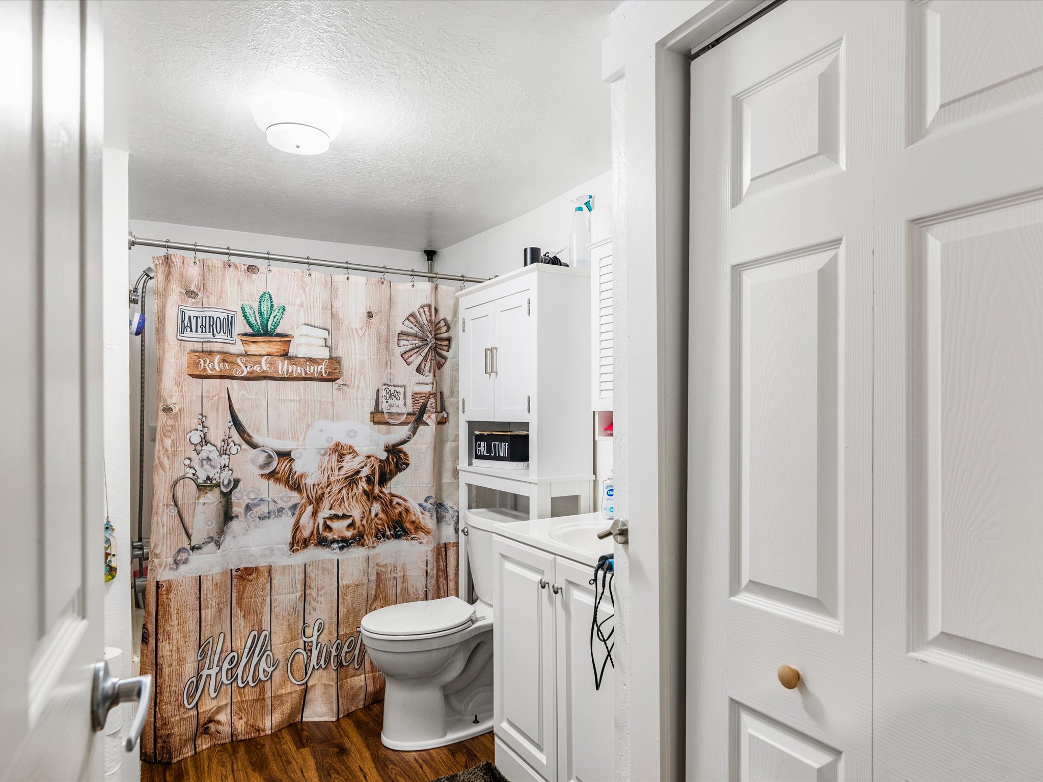Bathroom featuring wood-finish flooring, a white vanity with integrated sink, white storage cabinetry, and a panel door
