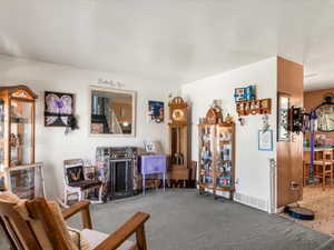 Carpeted living area featuring white walls and a mirrored accent