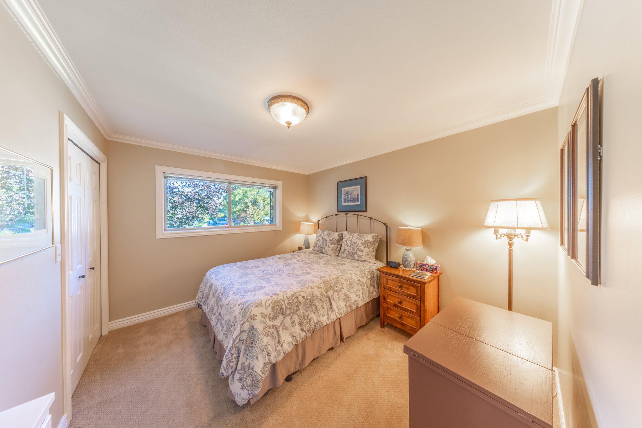 Carpeted room featuring a window with exterior foliage, white trim, crown molding, and a closet with bifold doors