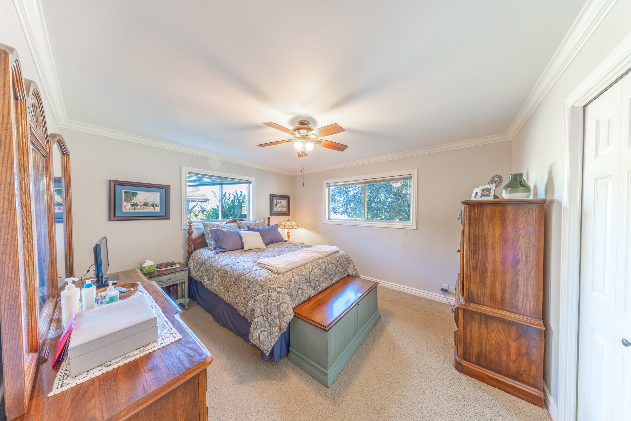Carpeted room featuring a ceiling fan with integrated lighting, white crown molding, and two windows providing natural light