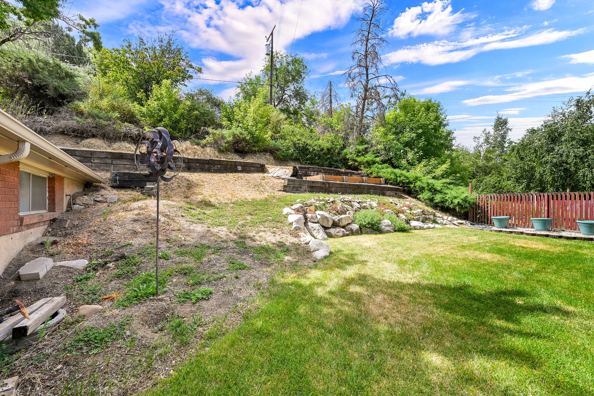 Large backyard