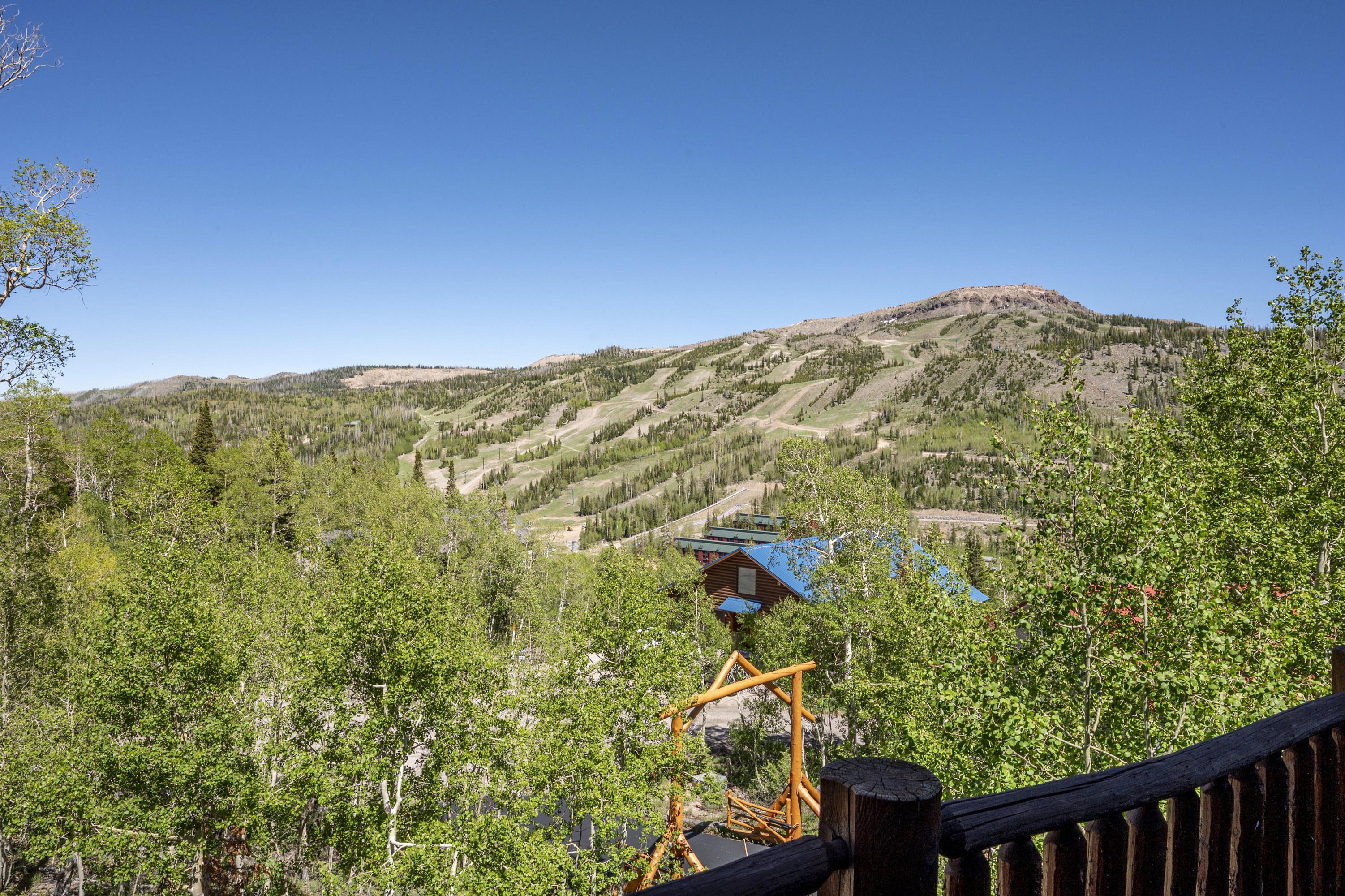 Mountainous terrain with ski runs, surrounded by abundant deciduous and evergreen trees, under a clear blue sky