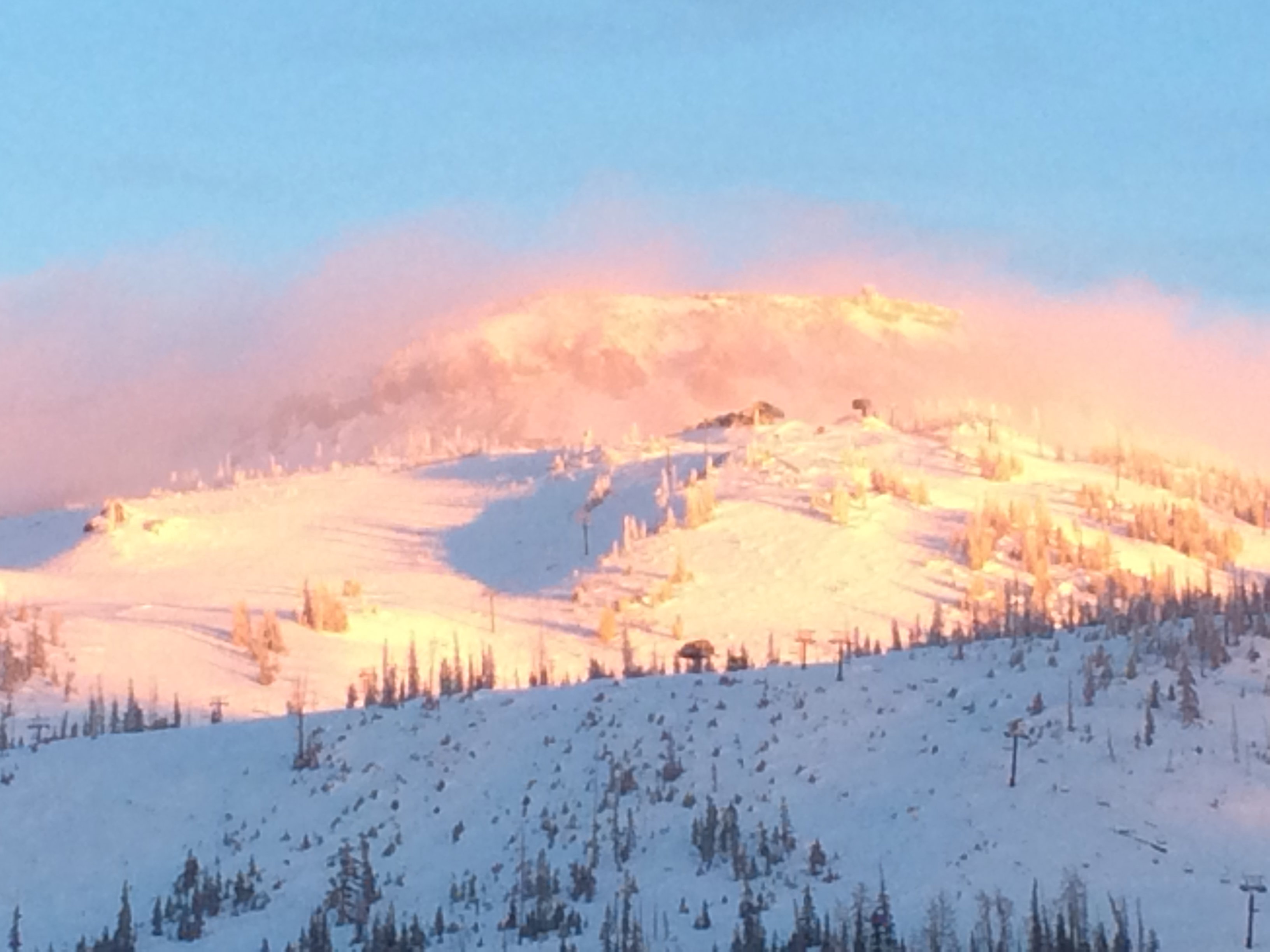 Snow-covered mountain peaks with scattered evergreen trees, bathed in golden light