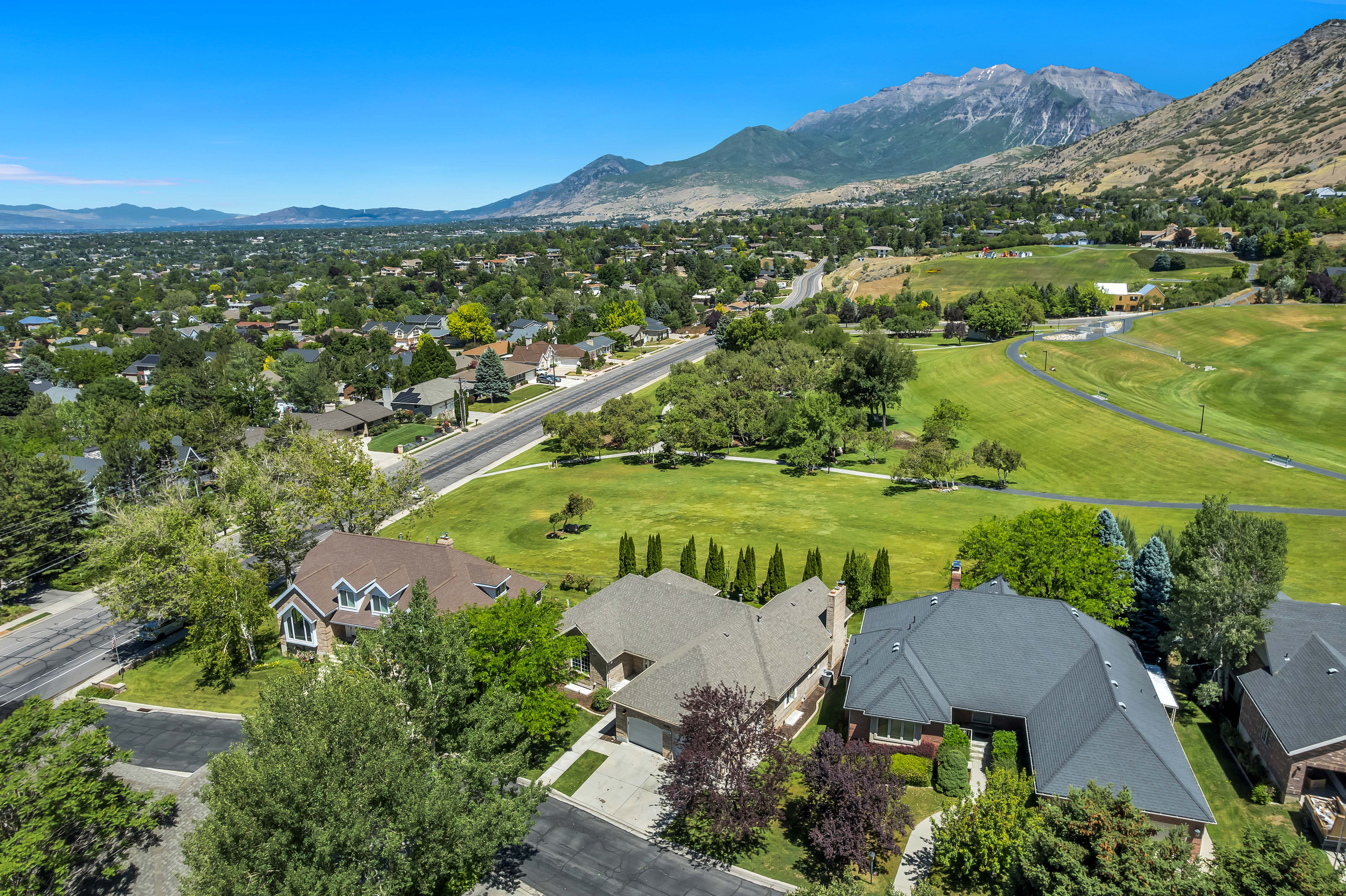 Aerial perspective showcasing residential properties amidst a vast green landscape with distant mountains