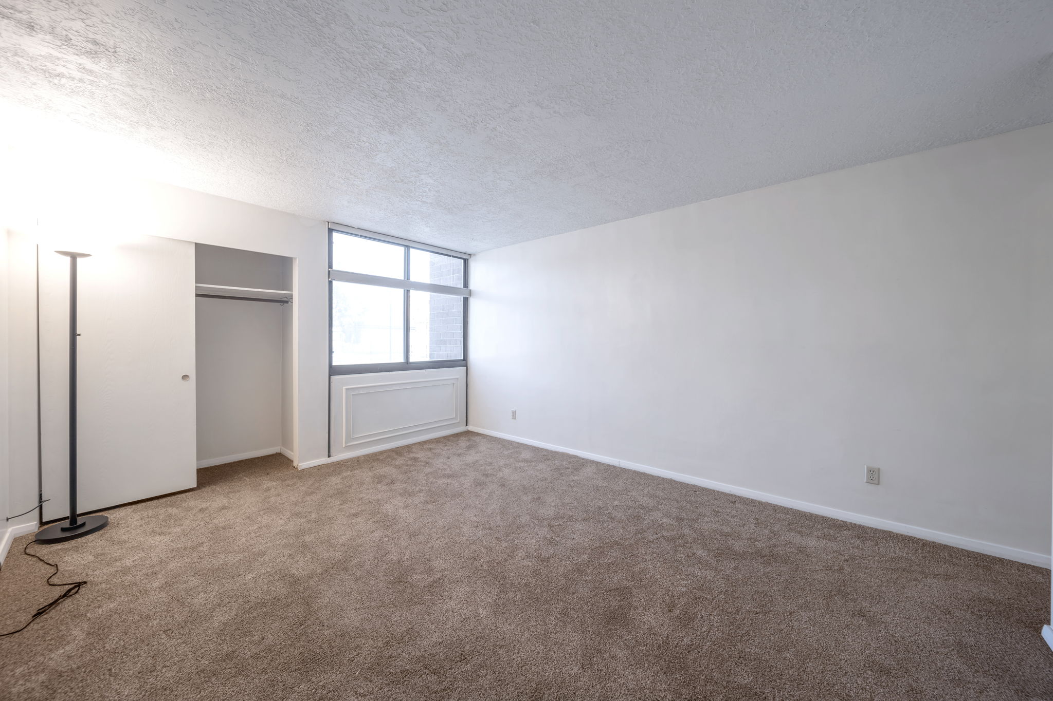 Carpeted room featuring a large window, a built-in closet with bi-fold doors, white baseboards, and neutral wall finishes