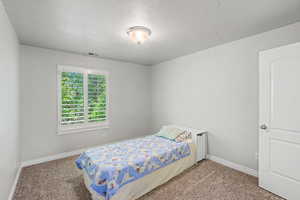Carpeted room featuring a window with white plantation shutters, a white ceiling light fixture, and a white interior door with an arched panel