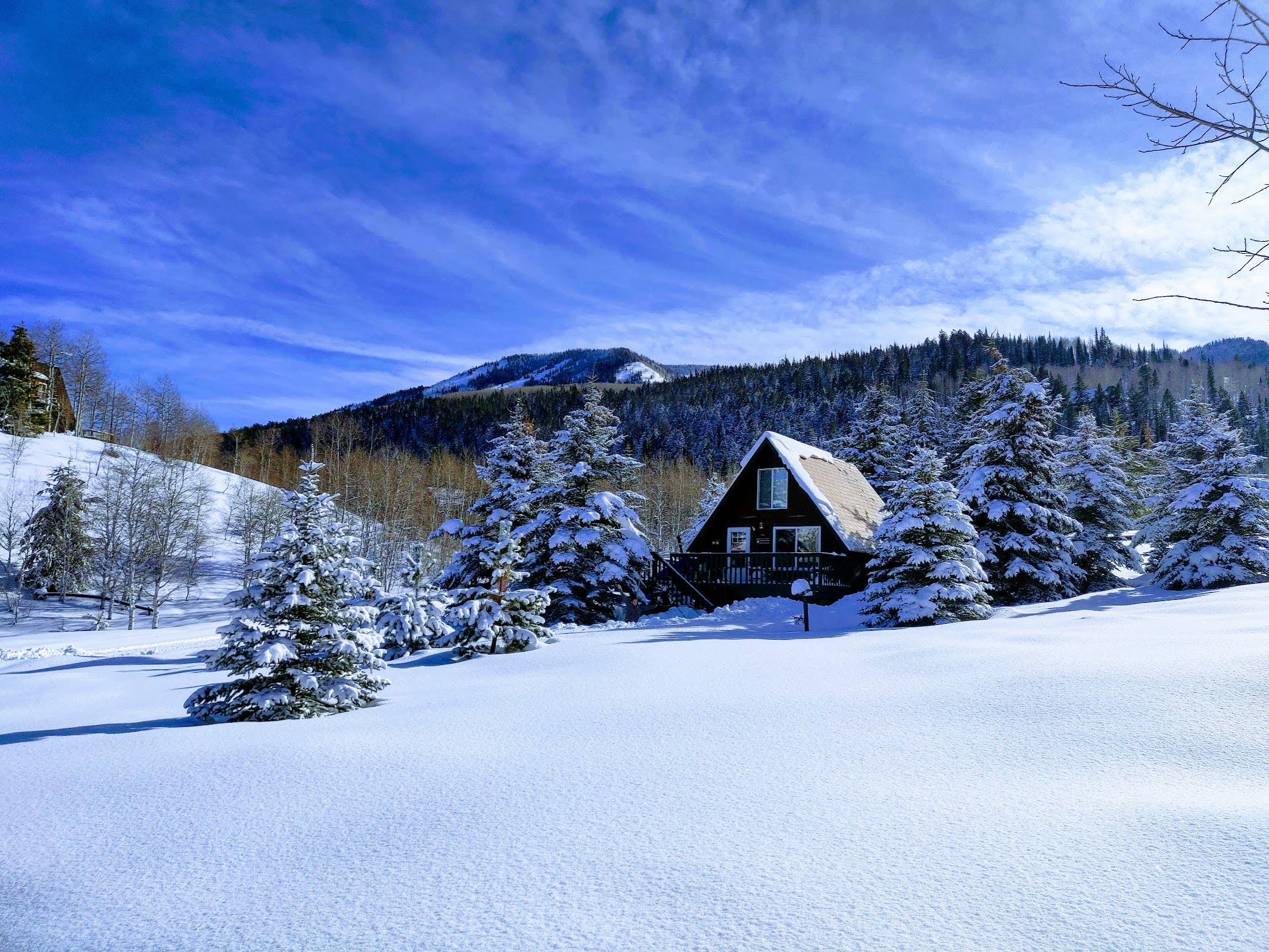 A-frame structure with a pitched roof, dark exterior siding, and multiple windows