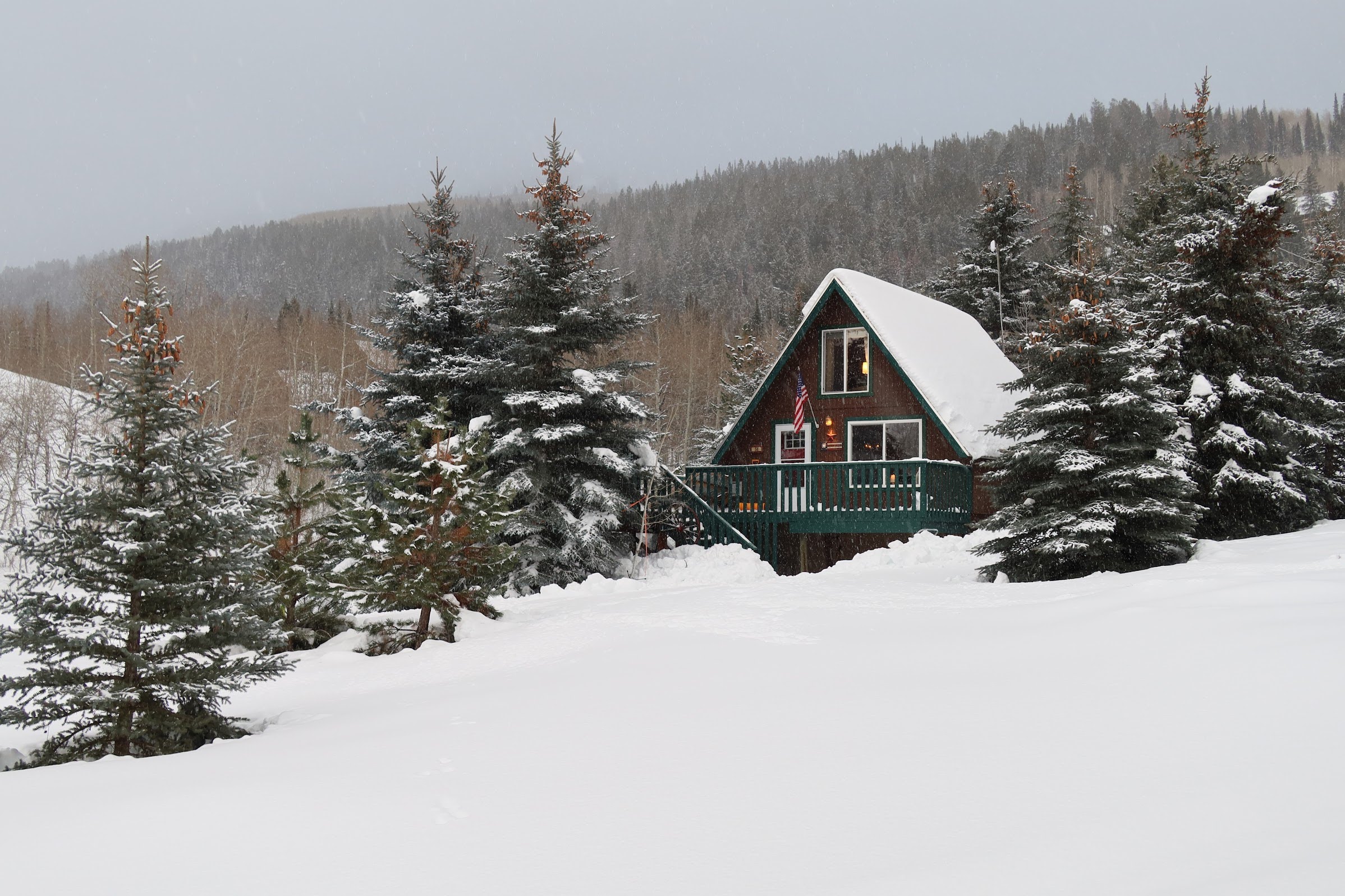 A-frame style residence featuring a dark wood exterior, a steep-pitched roof, and a green-painted deck with railings