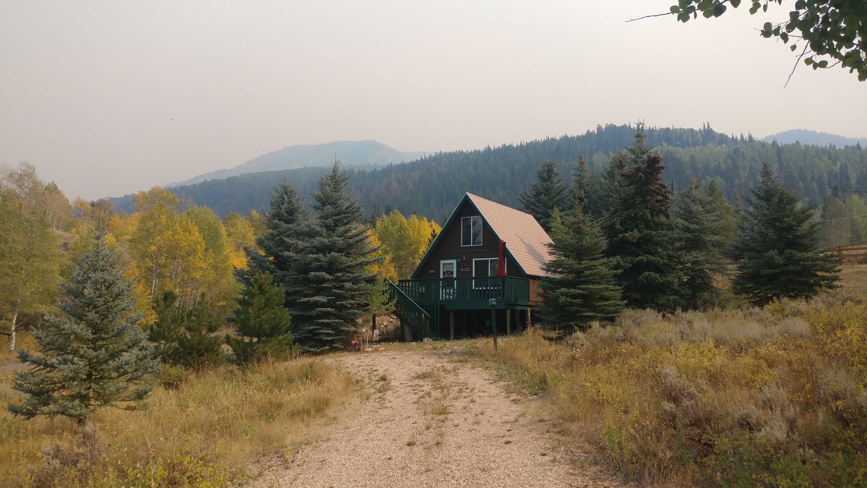 A-frame style residence with a natural wood-finish exterior, a raised green deck, and a rust-colored roof