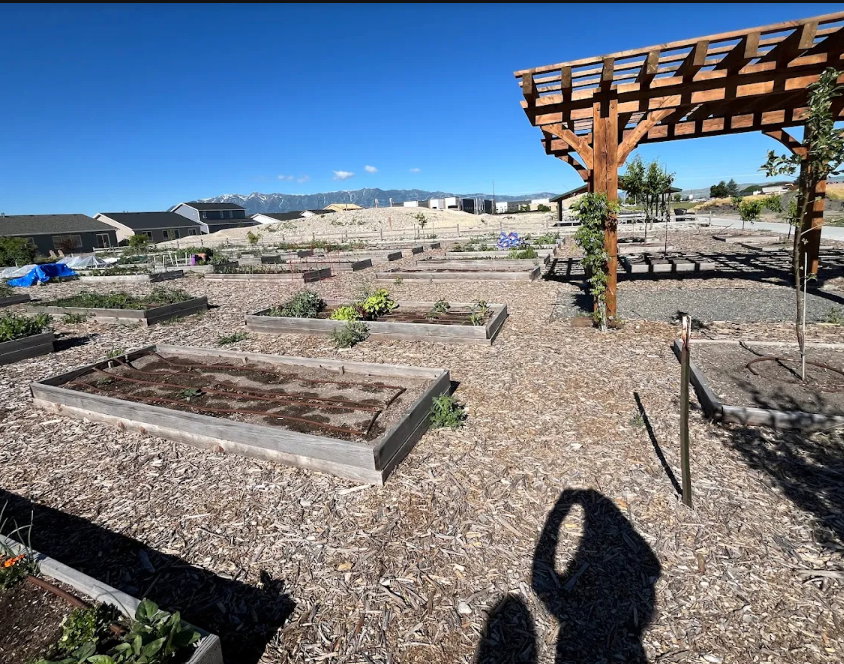 Community garden area featuring multiple raised planter beds and a substantial wood pergola with a clear roof