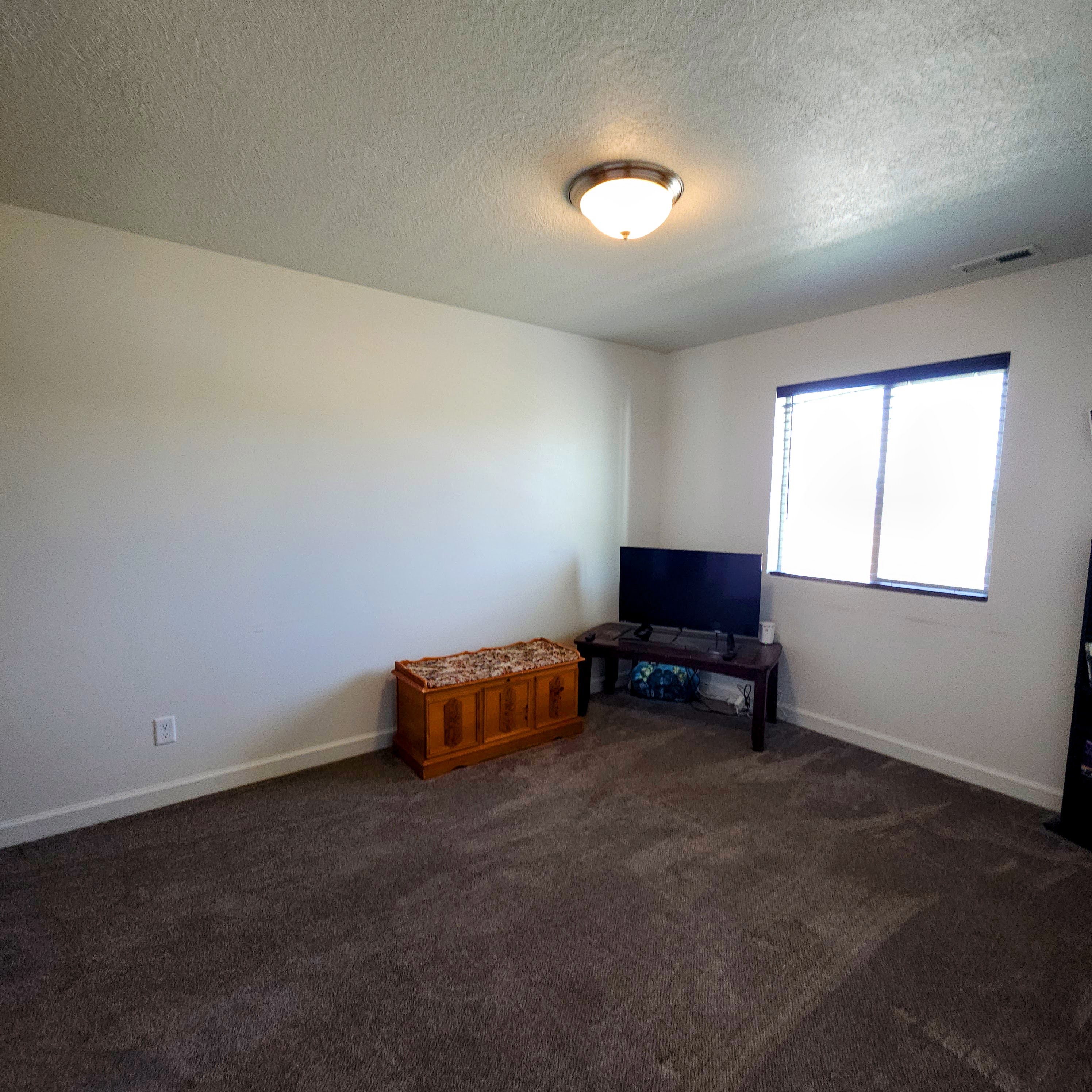 Carpeted interior space featuring a window with horizontal blinds, a ceiling-mounted light fixture, white walls, and white trim