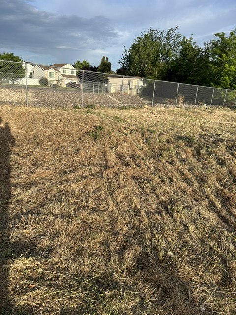Chain-link perimeter fencing defines the property line, bordering a sloped terrain