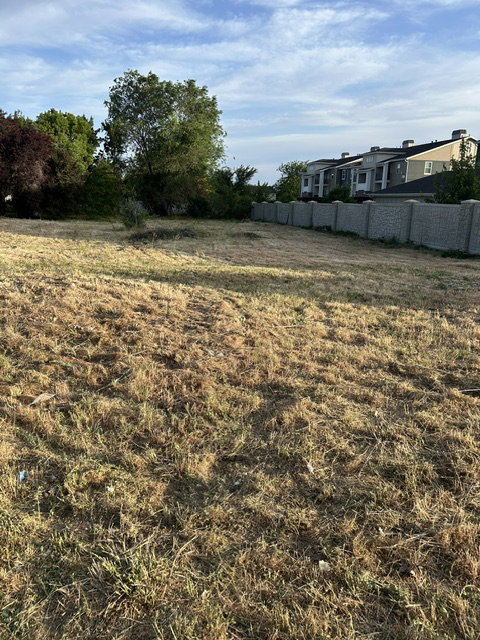 Expansive undeveloped lot with existing perimeter fencing