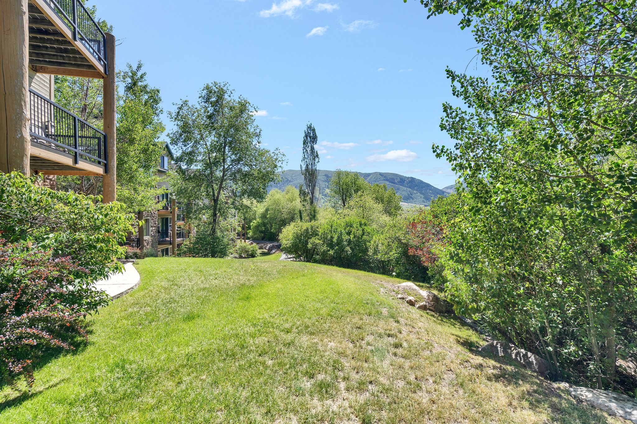 Expansive green lawn with mature trees and shrubs, bordered by a curving paved walkway