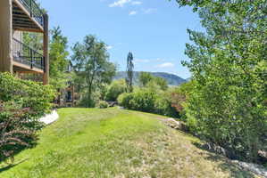 Expansive green lawn with mature trees and shrubs, bordered by a curving paved walkway
