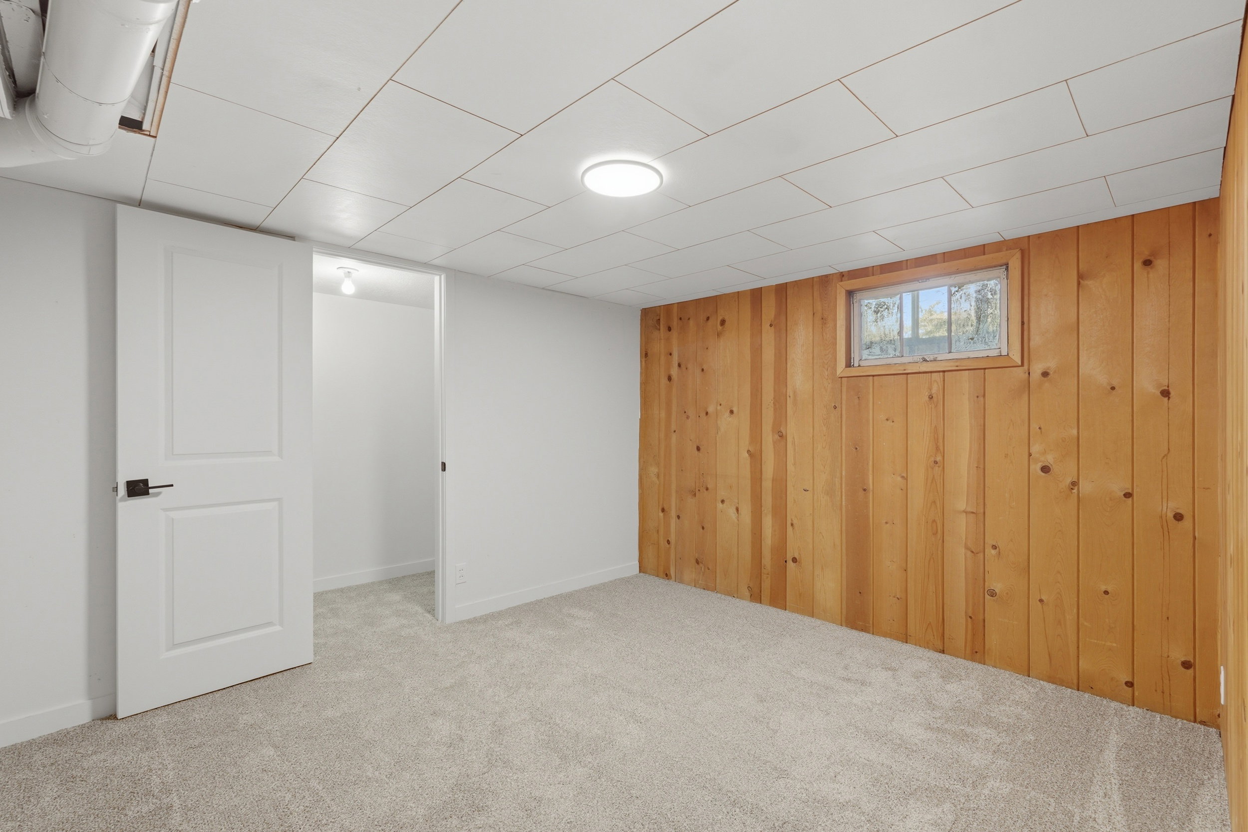 Carpeted room featuring a wood-paneled accent wall, a white paneled ceiling, and a flush-mount circular light fixture