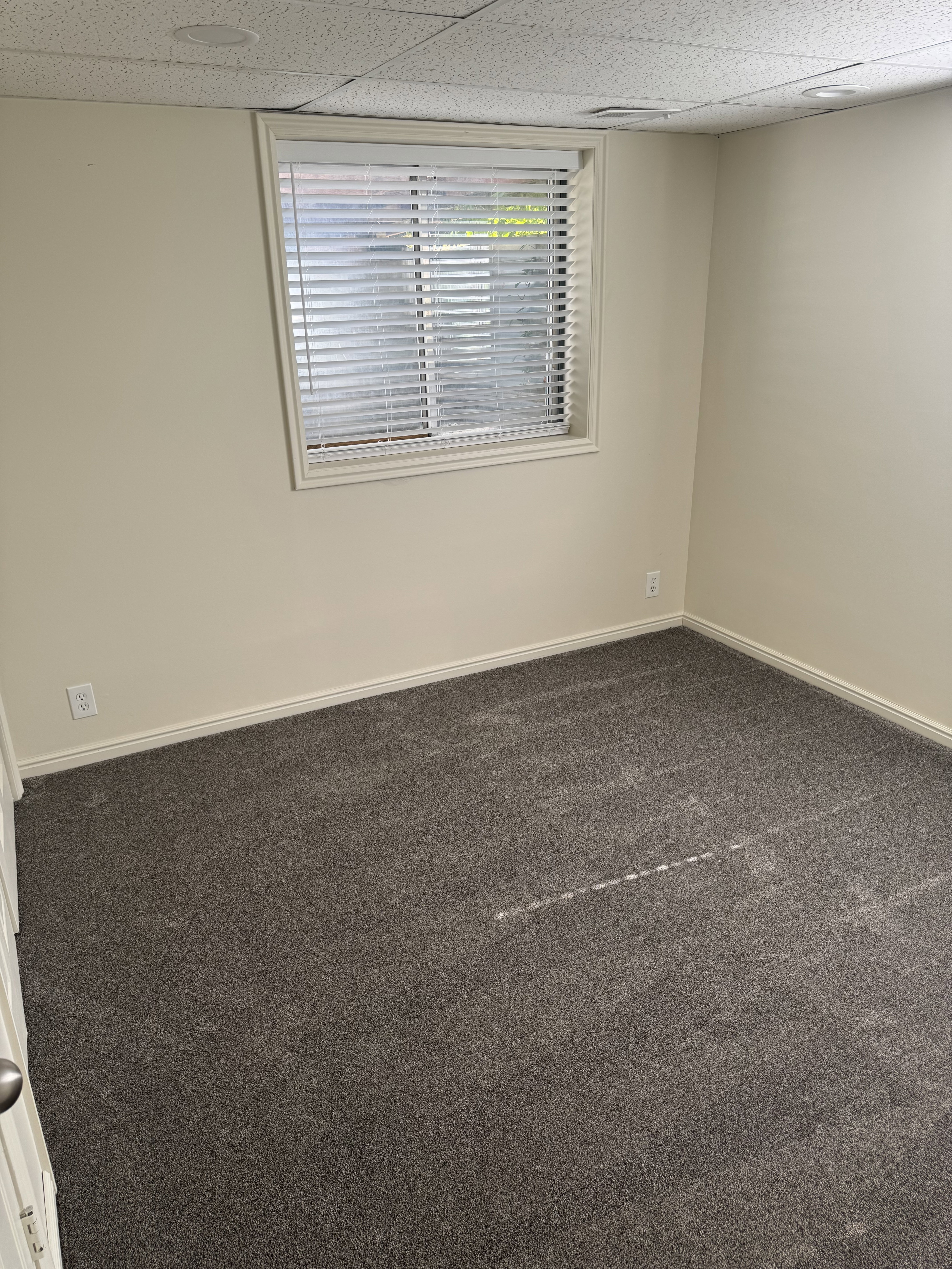 Bedroom featuring neutral wall paint, white trim, gray carpet flooring, and a window with blinds