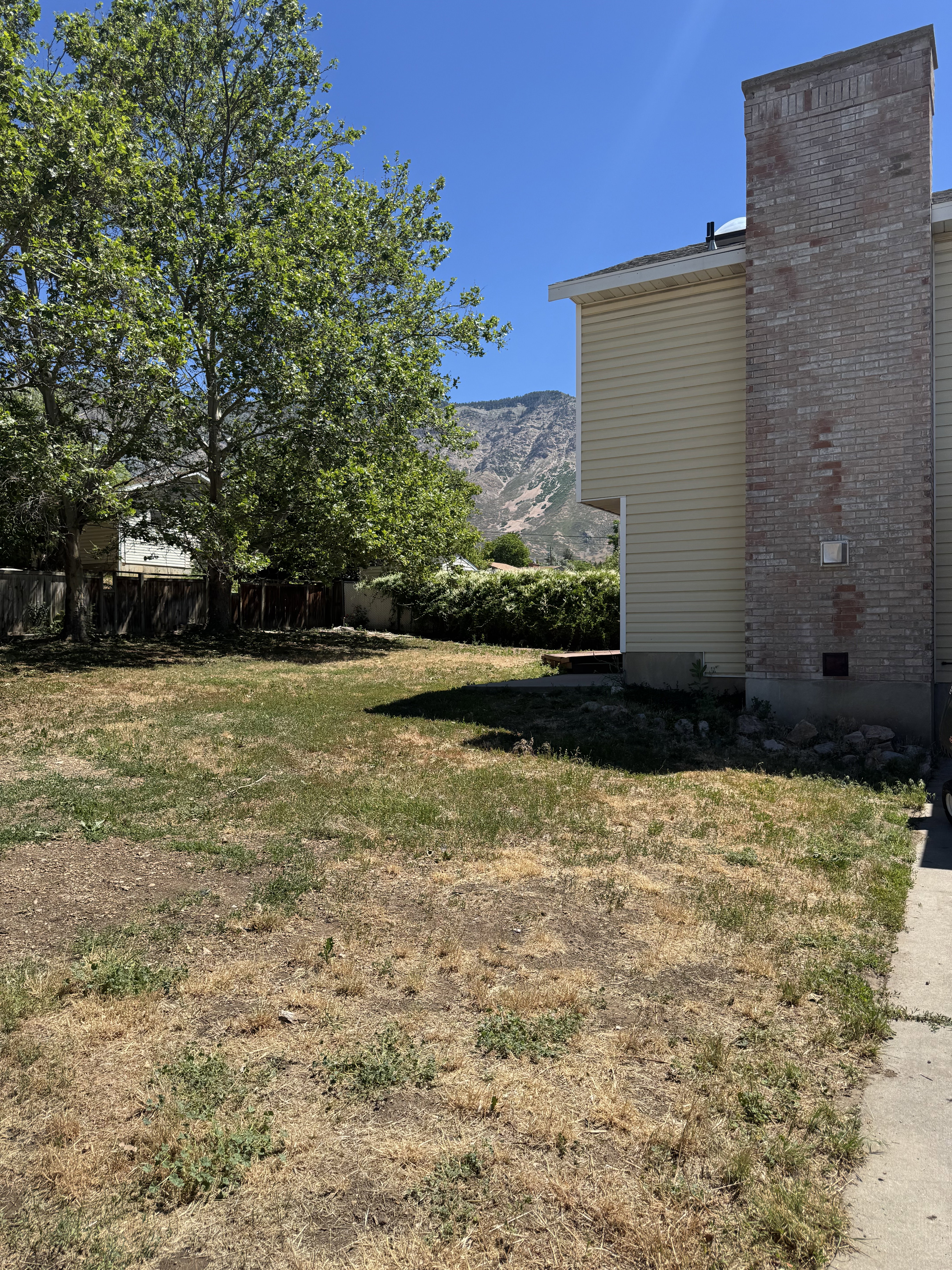 Expansive rear yard featuring mature trees, a partial patio, and a brick chimney exterior