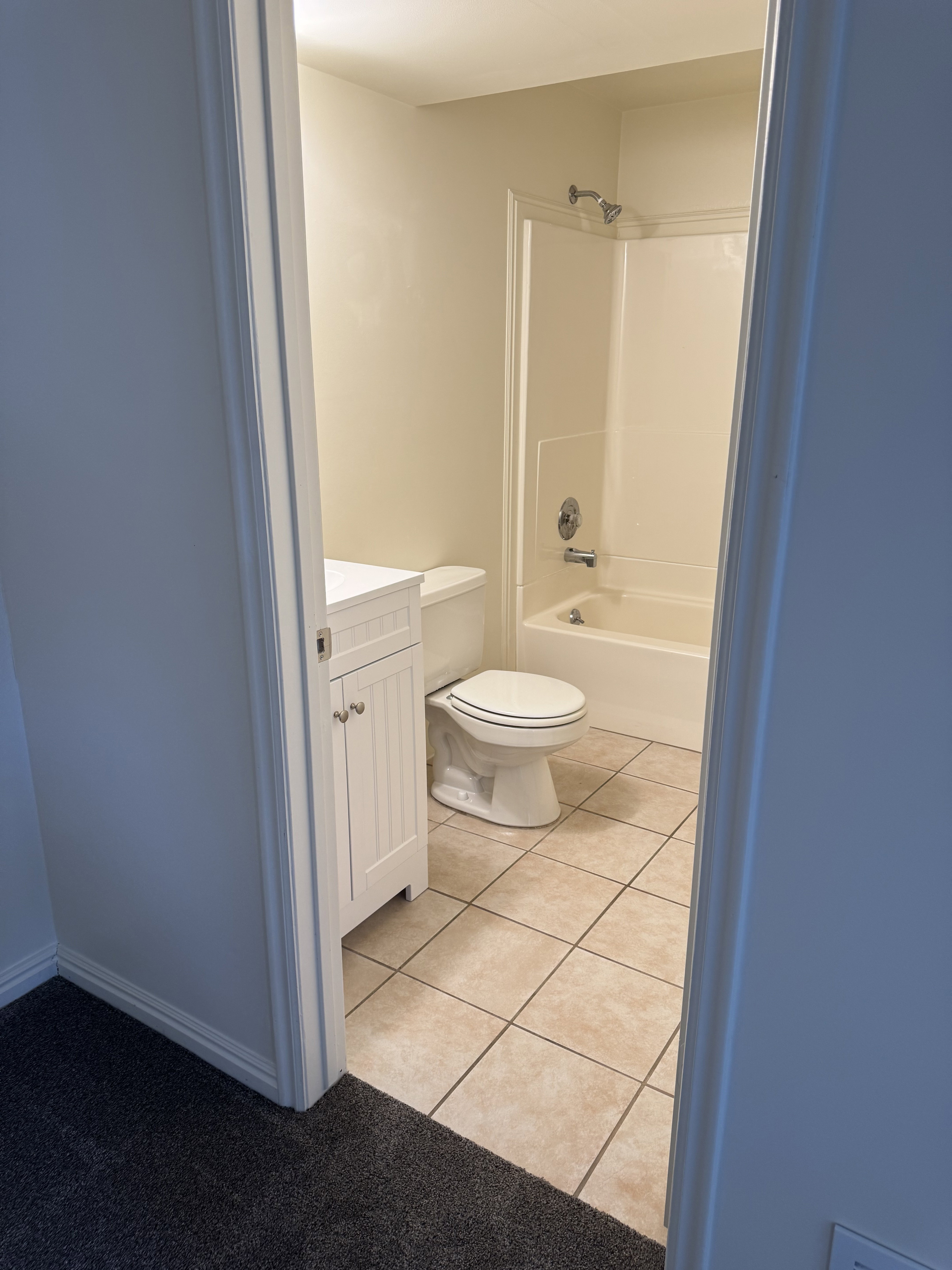 Bathroom featuring a white vanity cabinet, a white toilet, and a white bathtub with an integrated shower