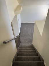 Carpeted staircase with a wood-finish handrail and balusters, leading to a lower level featuring wall-to-wall carpeting and neutral-toned walls