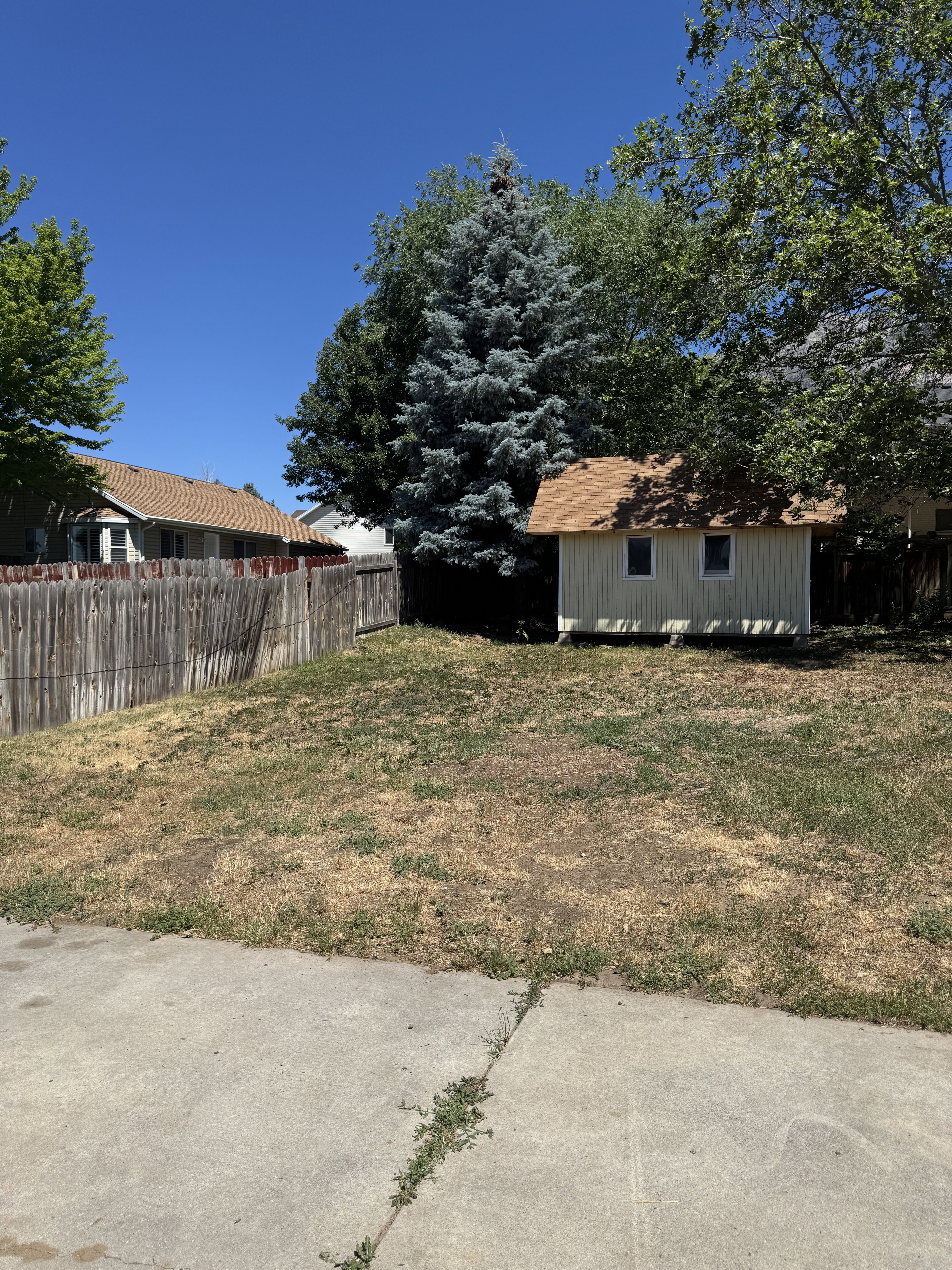 Backyard space featuring a wooden privacy fence, mature trees, and a detached shed with a shingled roof and siding