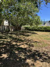 Expansive, level yard featuring mature trees providing natural shade
