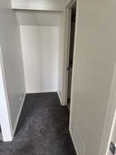 Recessed closet area featuring white walls and dark gray carpet flooring