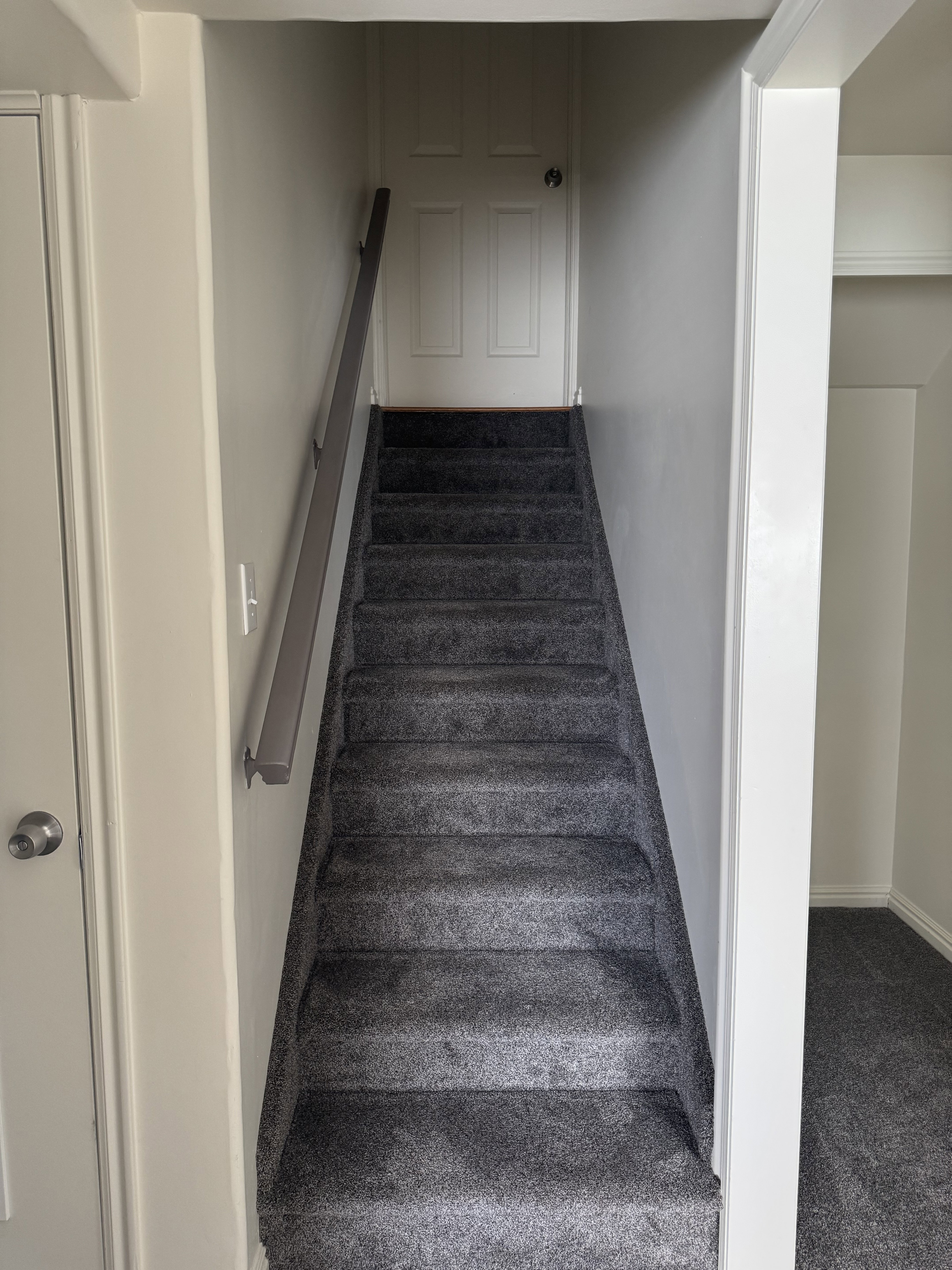 Carpeted staircase with a metal handrail, light-toned walls, and a paneled door