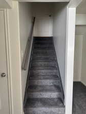 Carpeted staircase with a metal handrail, light-toned walls, and a paneled door