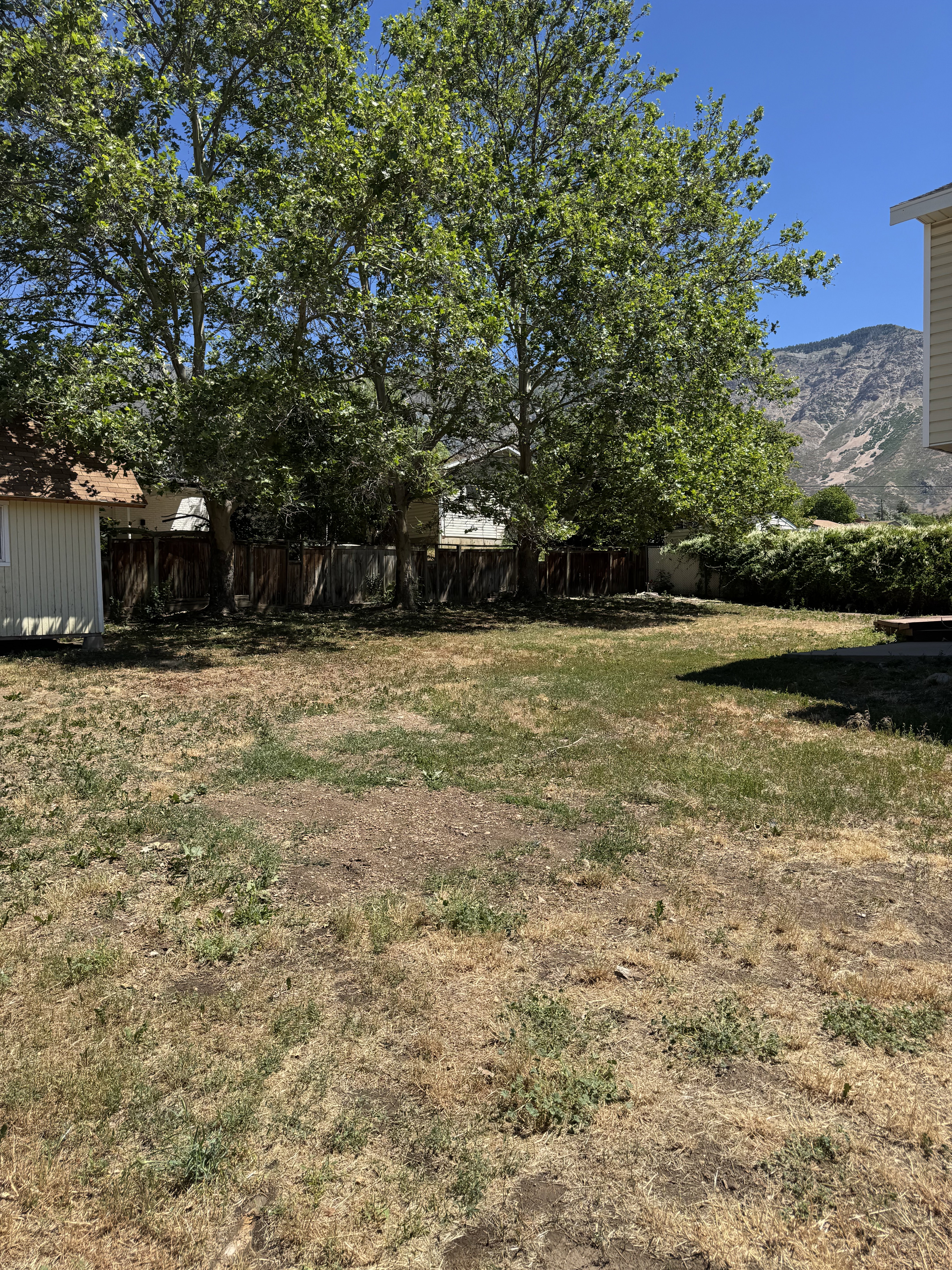 Expansive backyard area featuring mature deciduous trees and a mountain backdrop