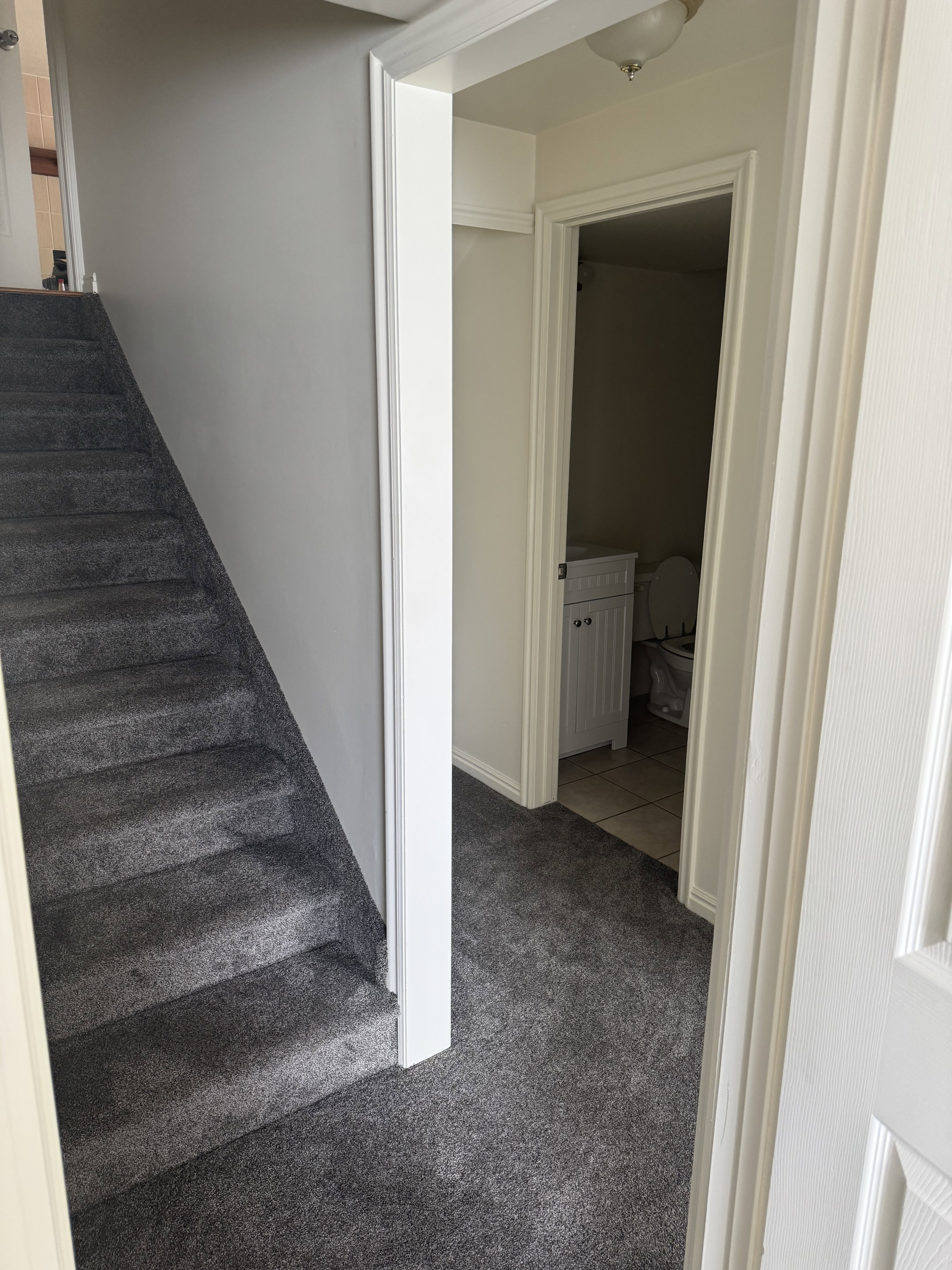Carpeted stairway with light gray wall paint and white trim