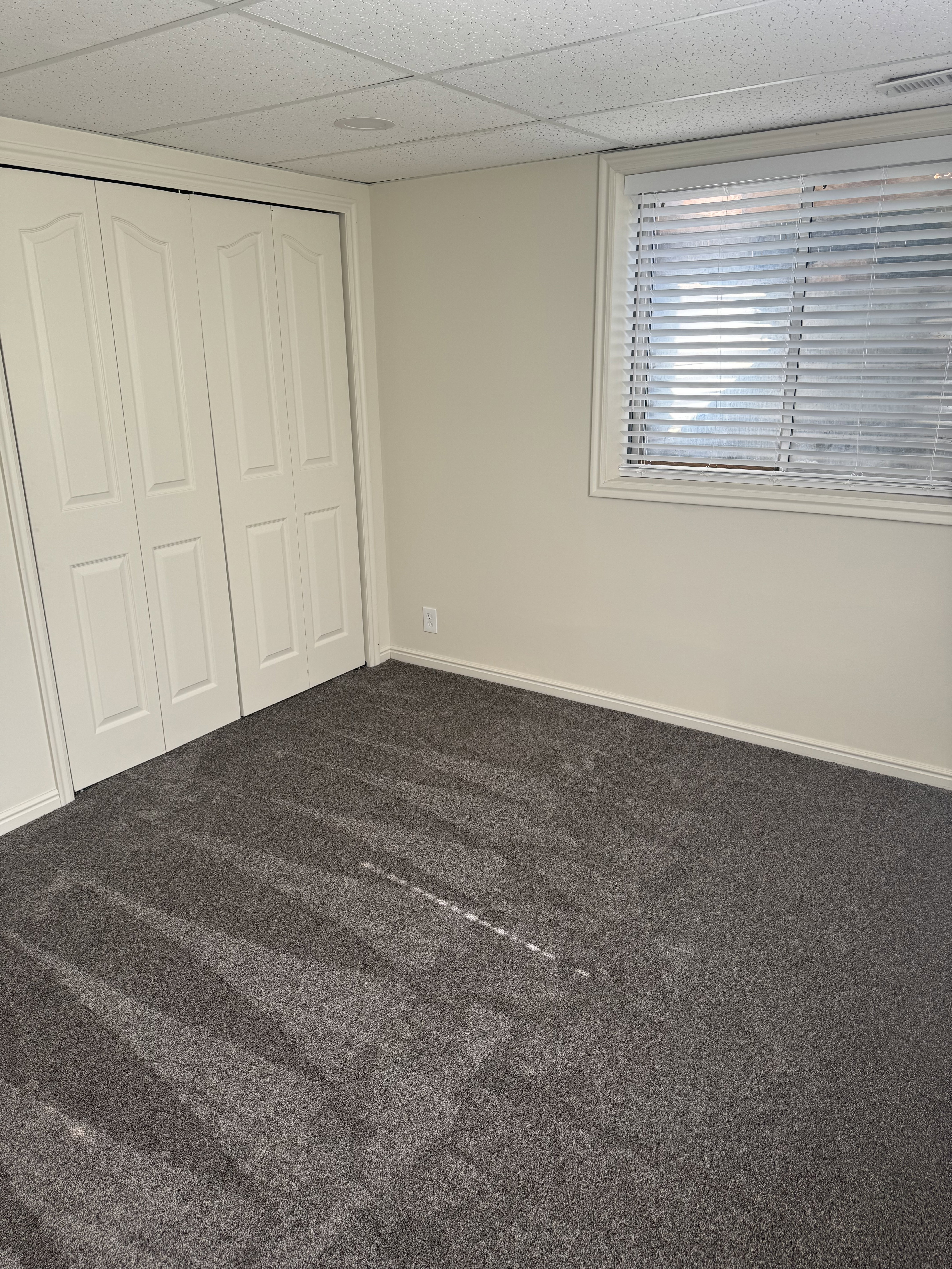 Room featuring dark gray carpeting, light beige walls, and a drop ceiling