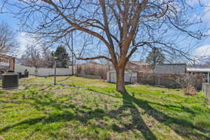 Yard