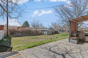 Expansive backyard featuring a concrete patio, a detached storage shed, and mature trees