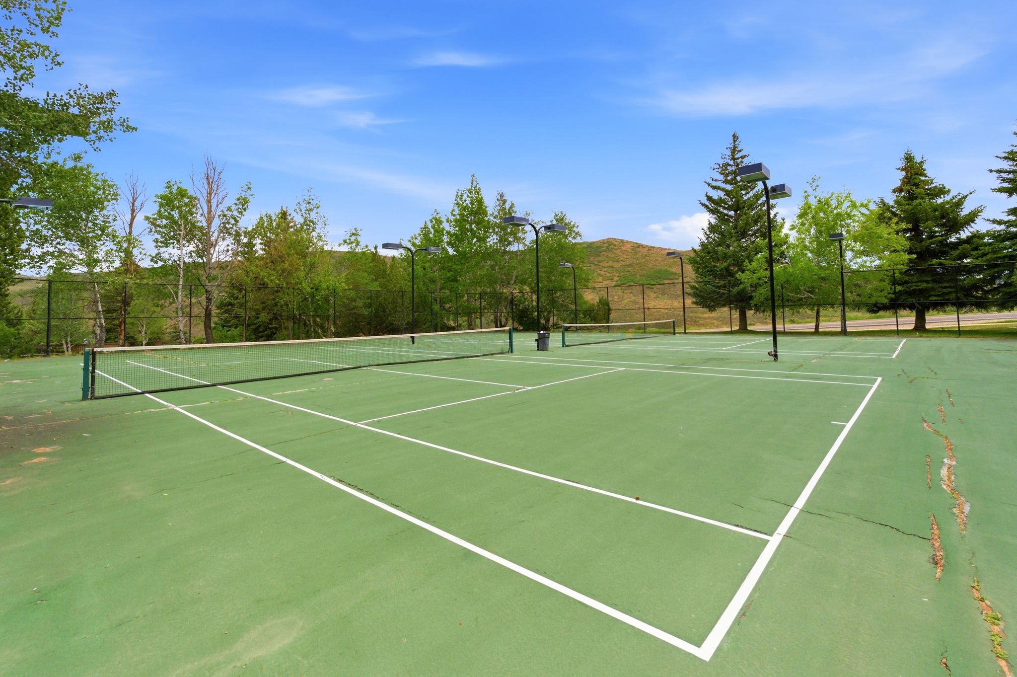 Two tennis courts featuring green surfacing and white court lines, surrounded by mature trees and equipped with court lighting