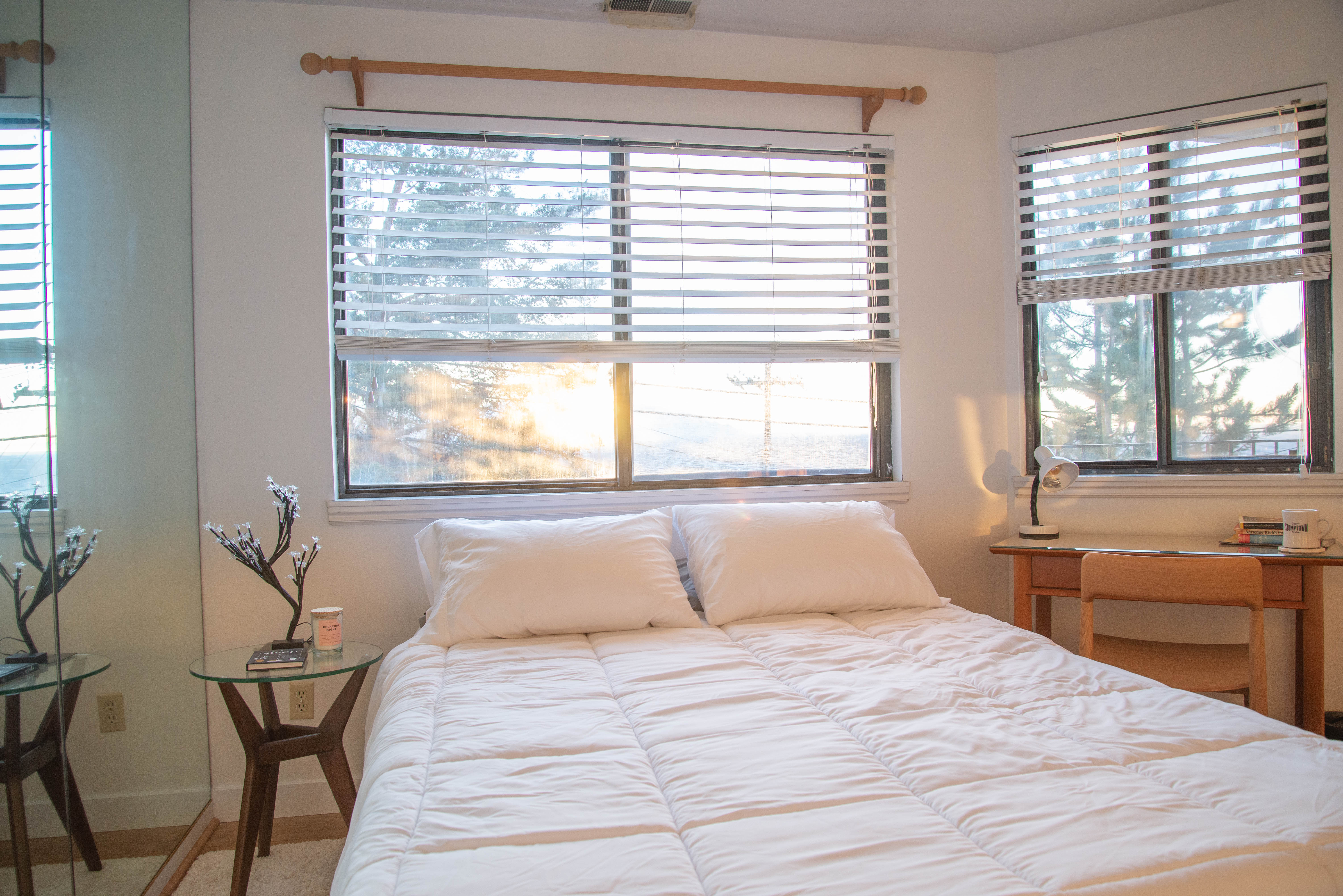 Bedroom featuring twin windows with horizontal blinds, built-in mirror paneling, and light wood-finish flooring
