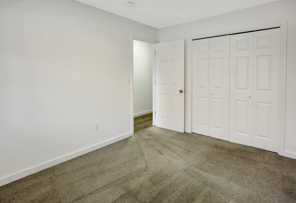 Neutral-toned carpeting paired with white walls, baseboards, and trim