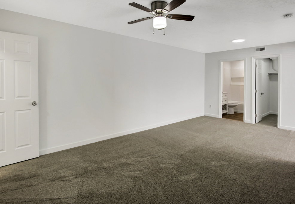 Spacious room featuring neutral carpeting, a ceiling fan with integrated lighting, and white trim