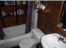 Image quality insufficient for description