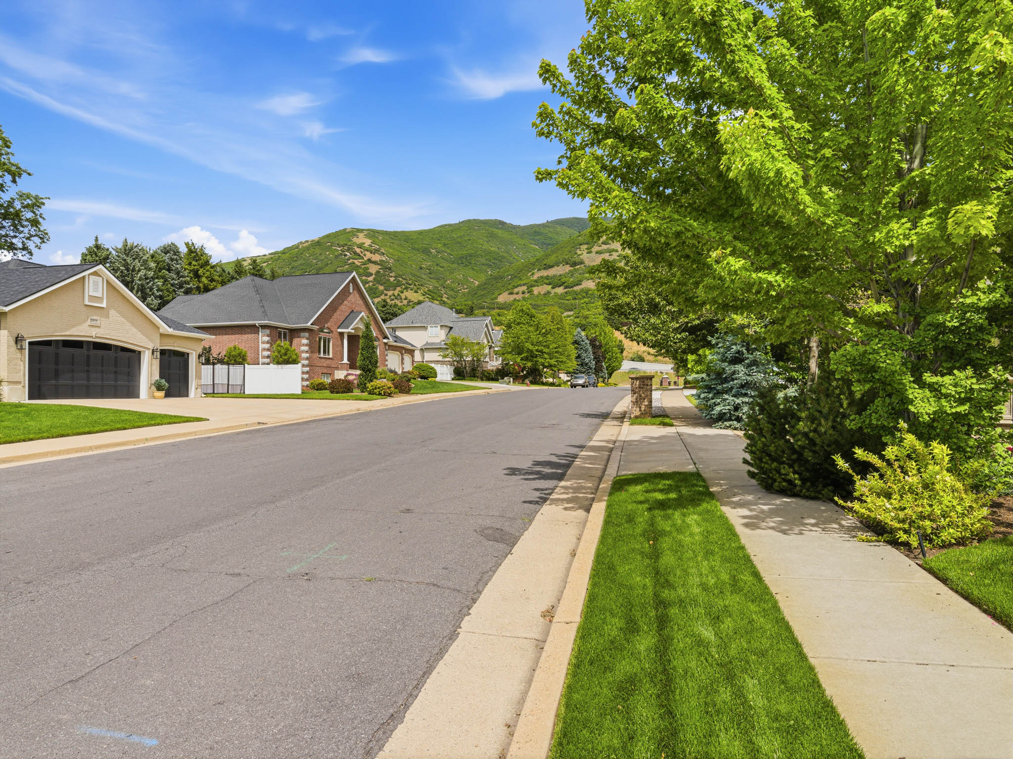 Residential street featuring varied architectural styles, mature trees, manicured lawns, and mountain scenery