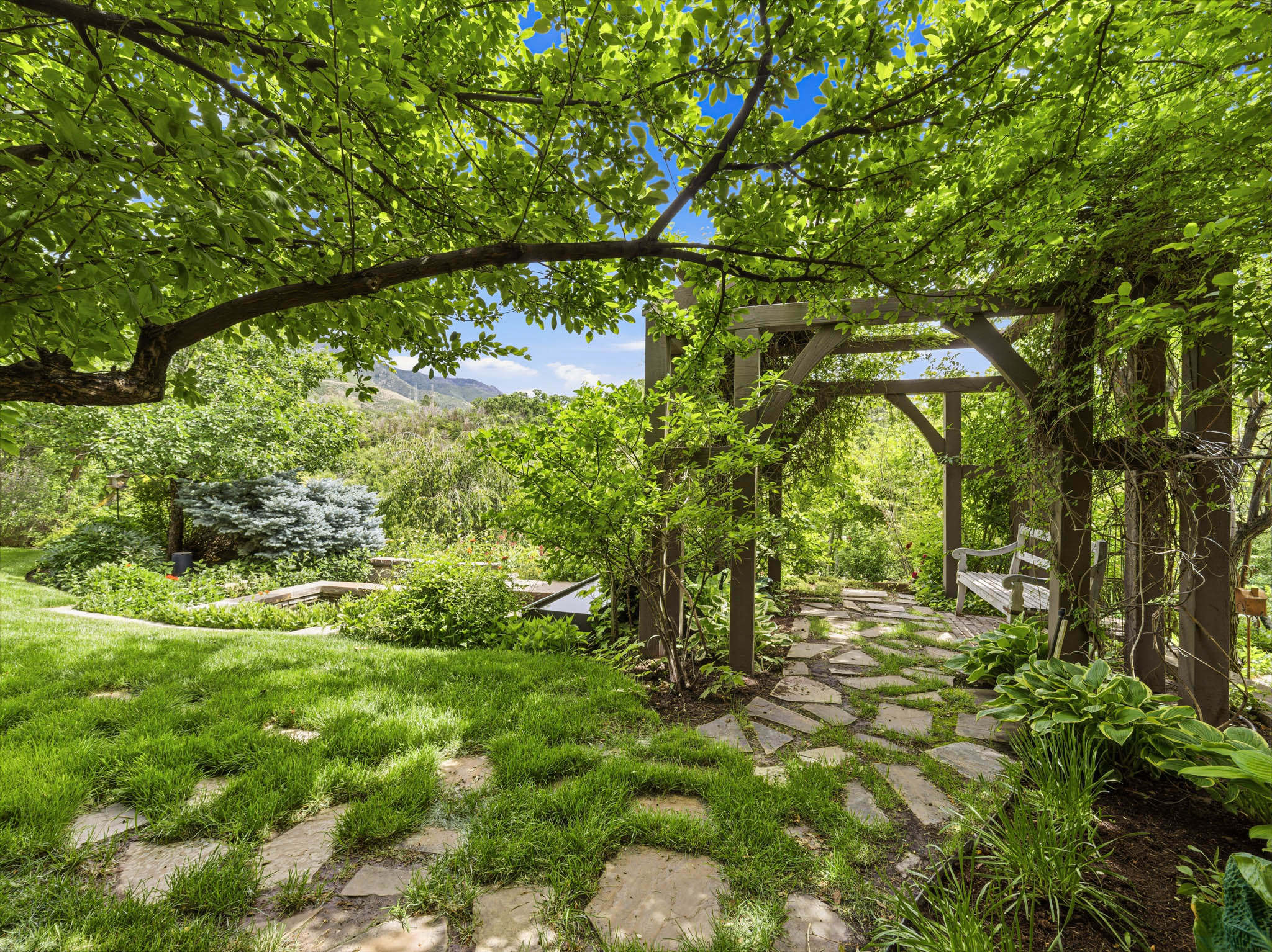 Landscaped yard featuring a stone pathway, a wooden pergola with climbing vines, and mature trees providing natural canopy