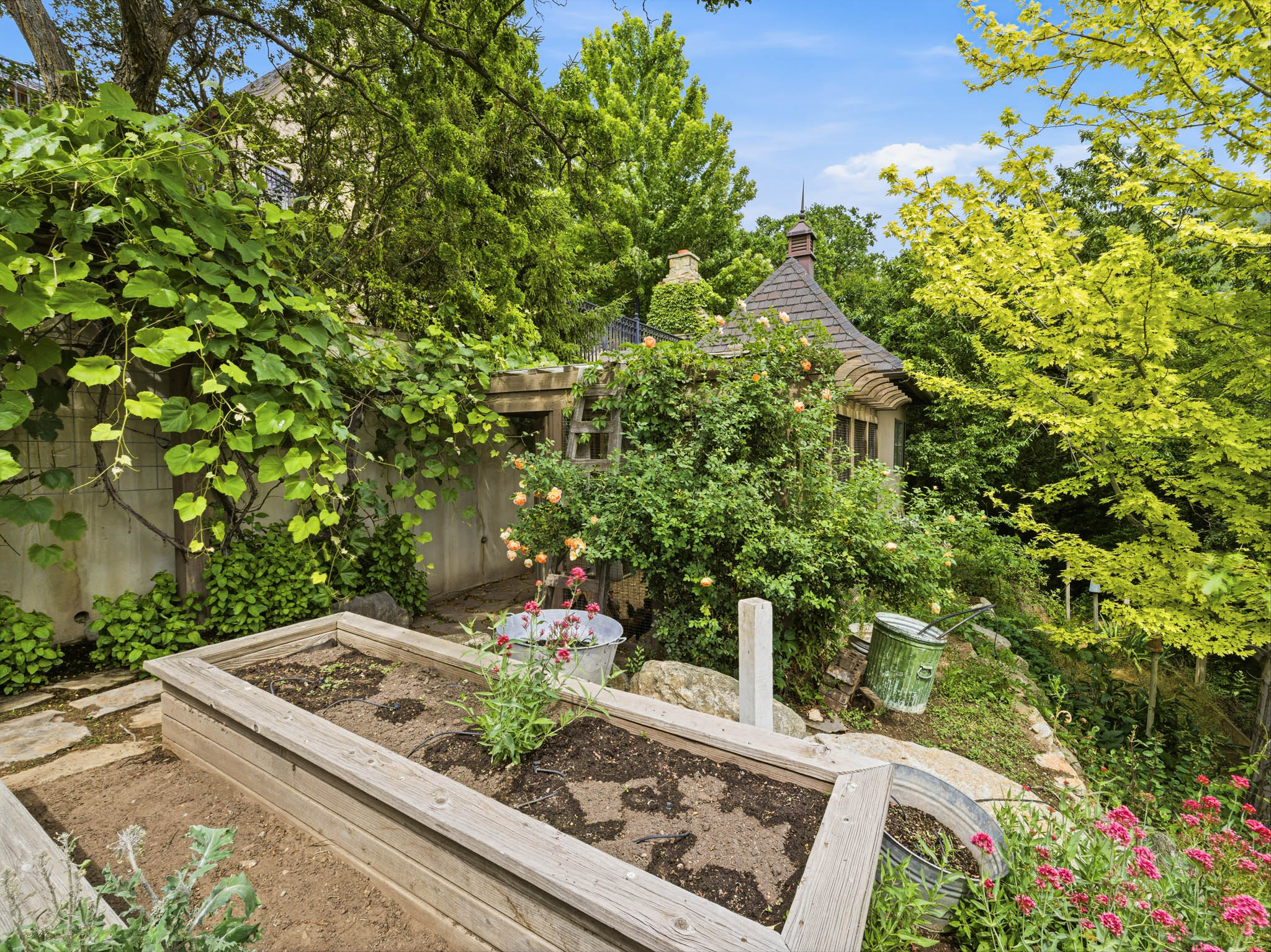 Terraced garden featuring a wooden raised planter bed, flagstone pathway, mature climbing vines, and diverse foliage