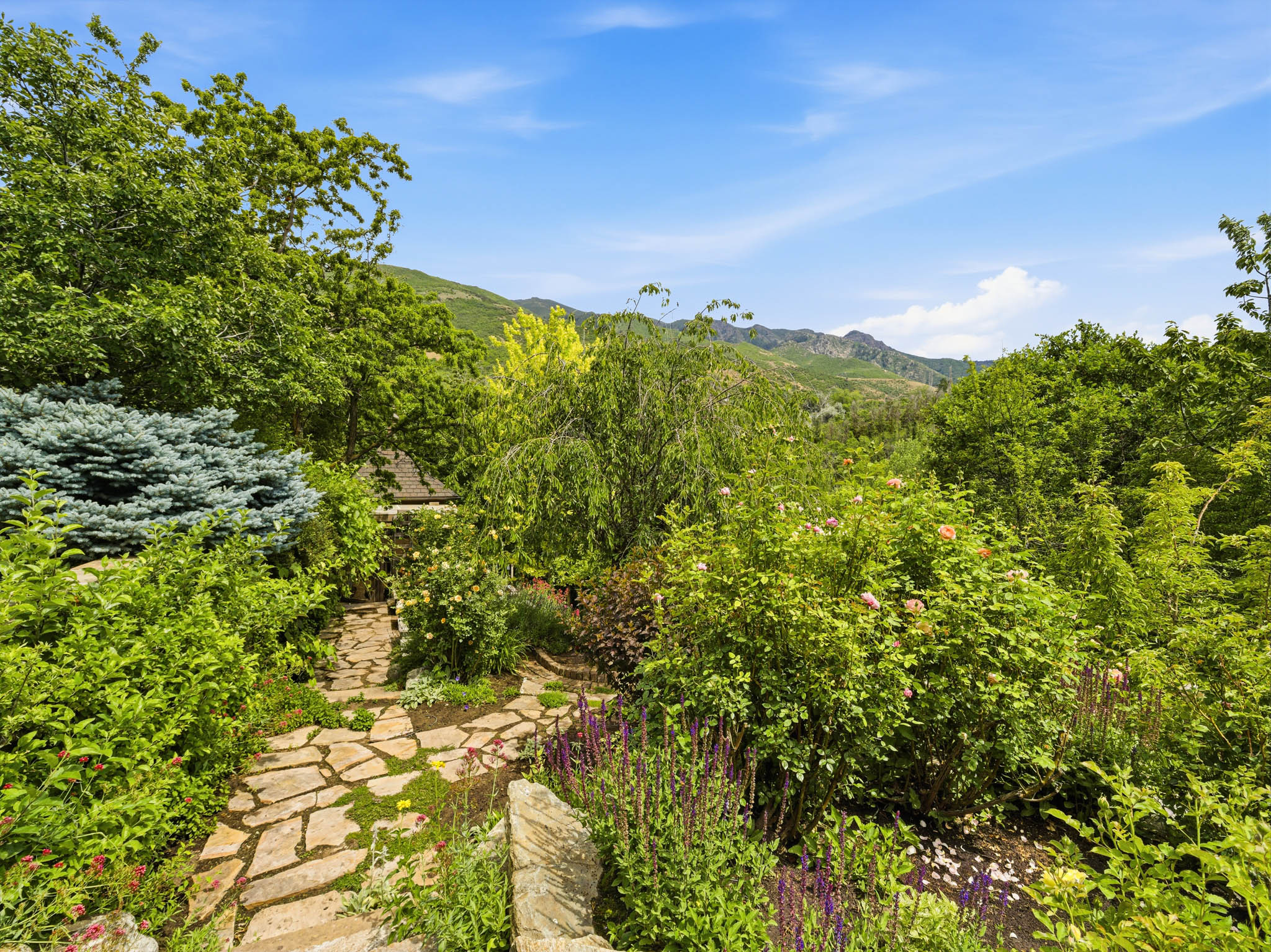 Stone pathway surrounded by varied plantings and mature trees