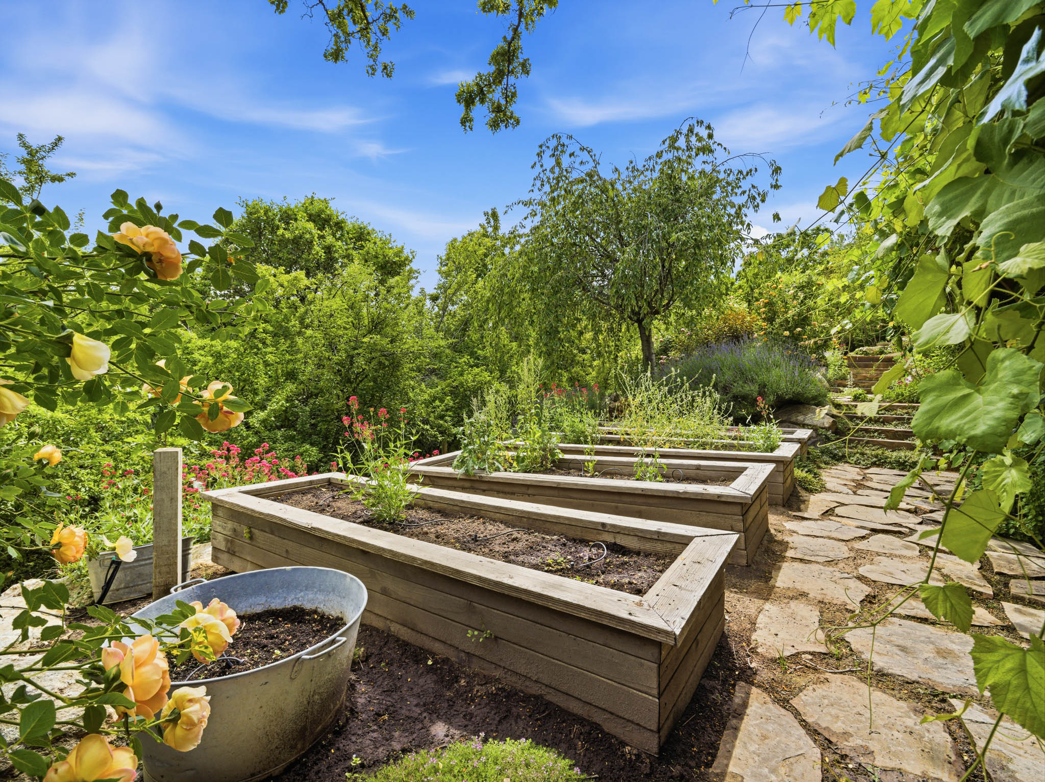 Terraced garden featuring multiple raised planter beds, a natural stone pathway, mature trees, and established flowering plants
