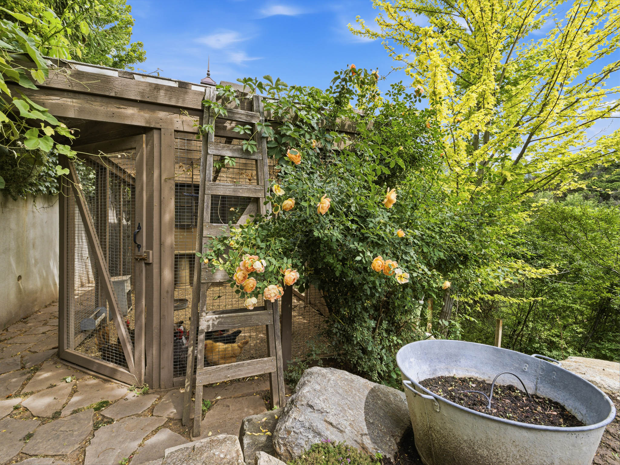 Wood-framed animal enclosure with wire mesh, set on irregular flagstone paving