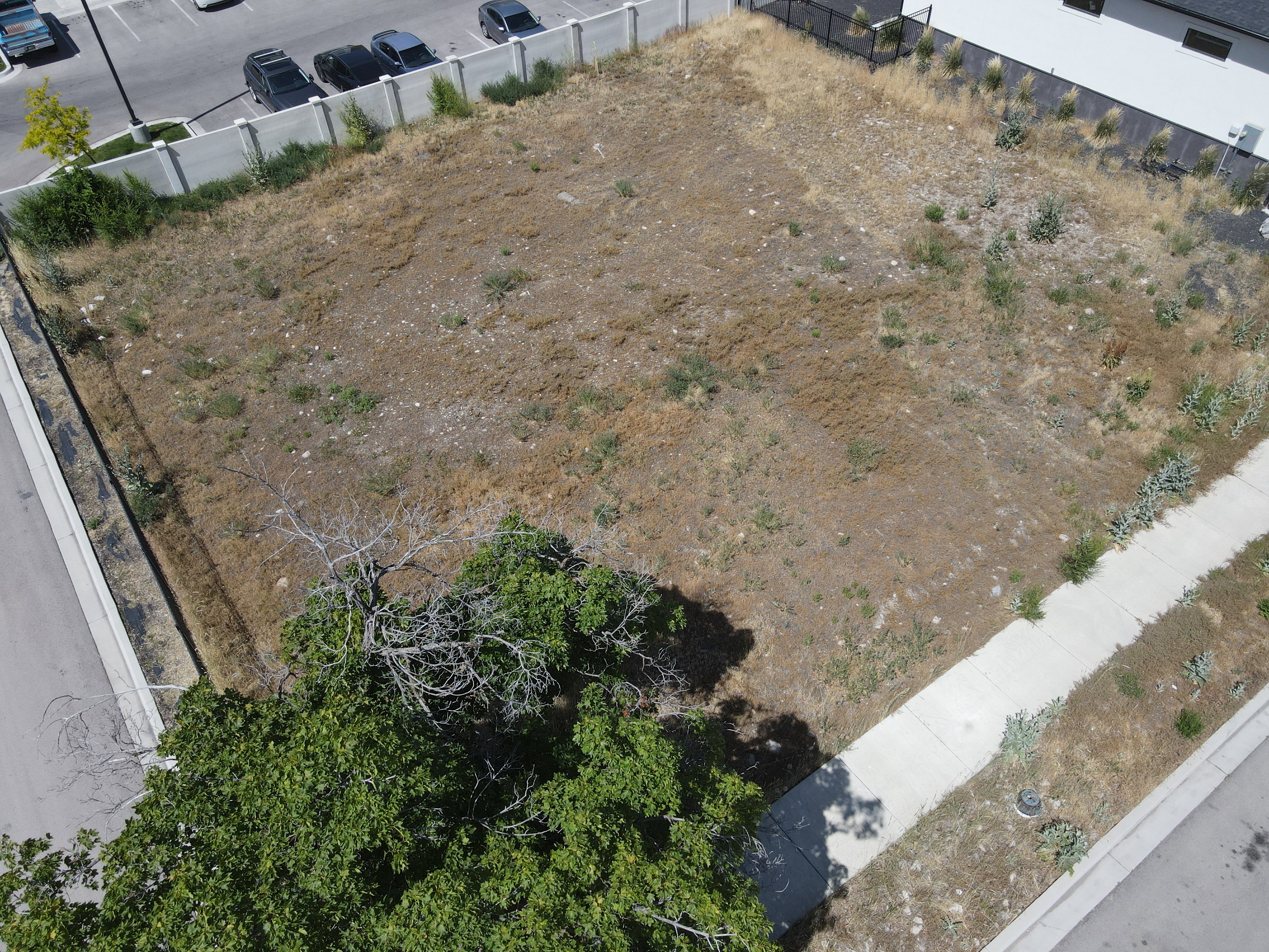 Expansive lot featuring street frontage, concrete sidewalk, established perimeter fencing, and mature trees