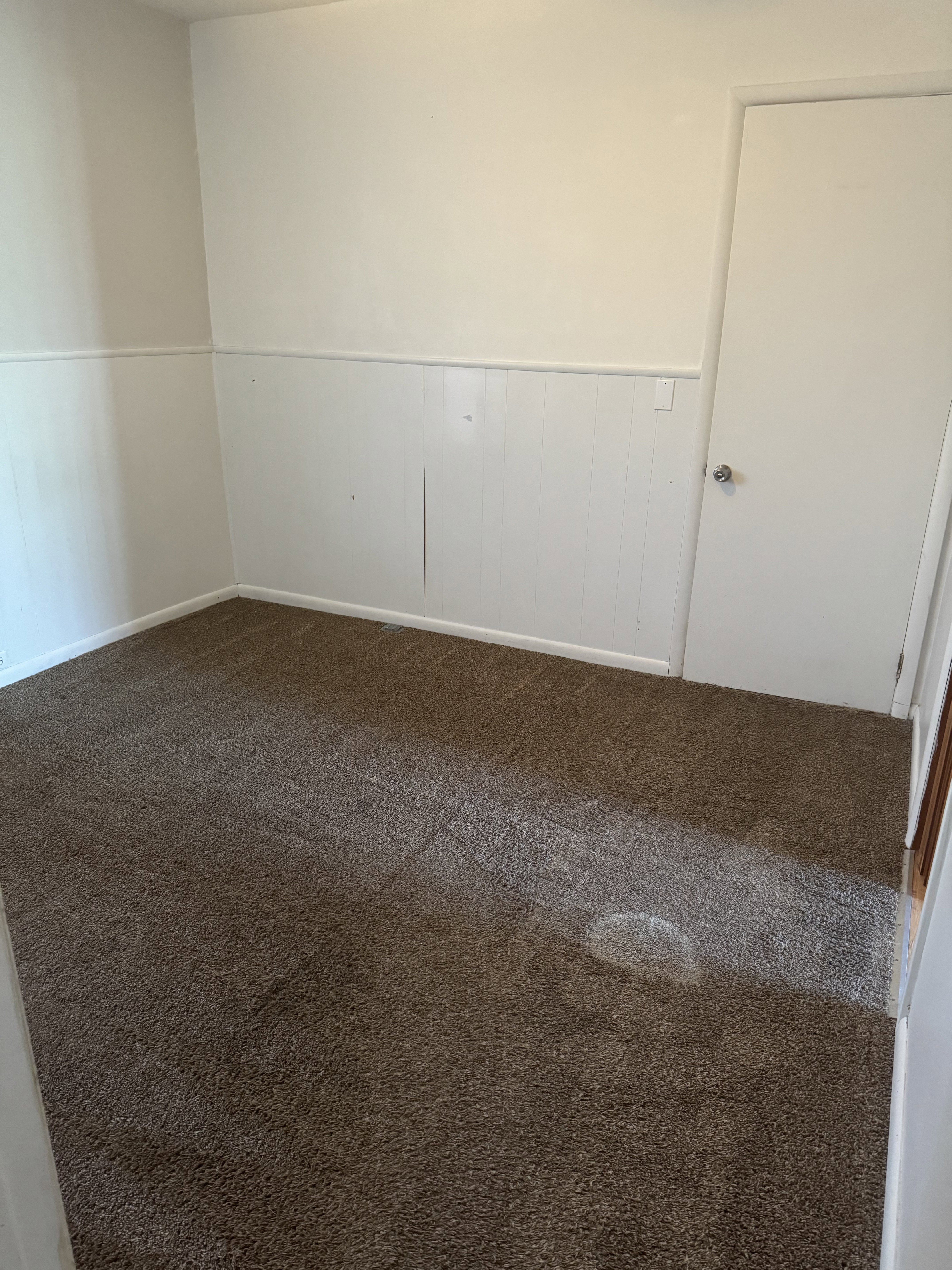 Room featuring wall paneling, painted walls, and brown carpeting