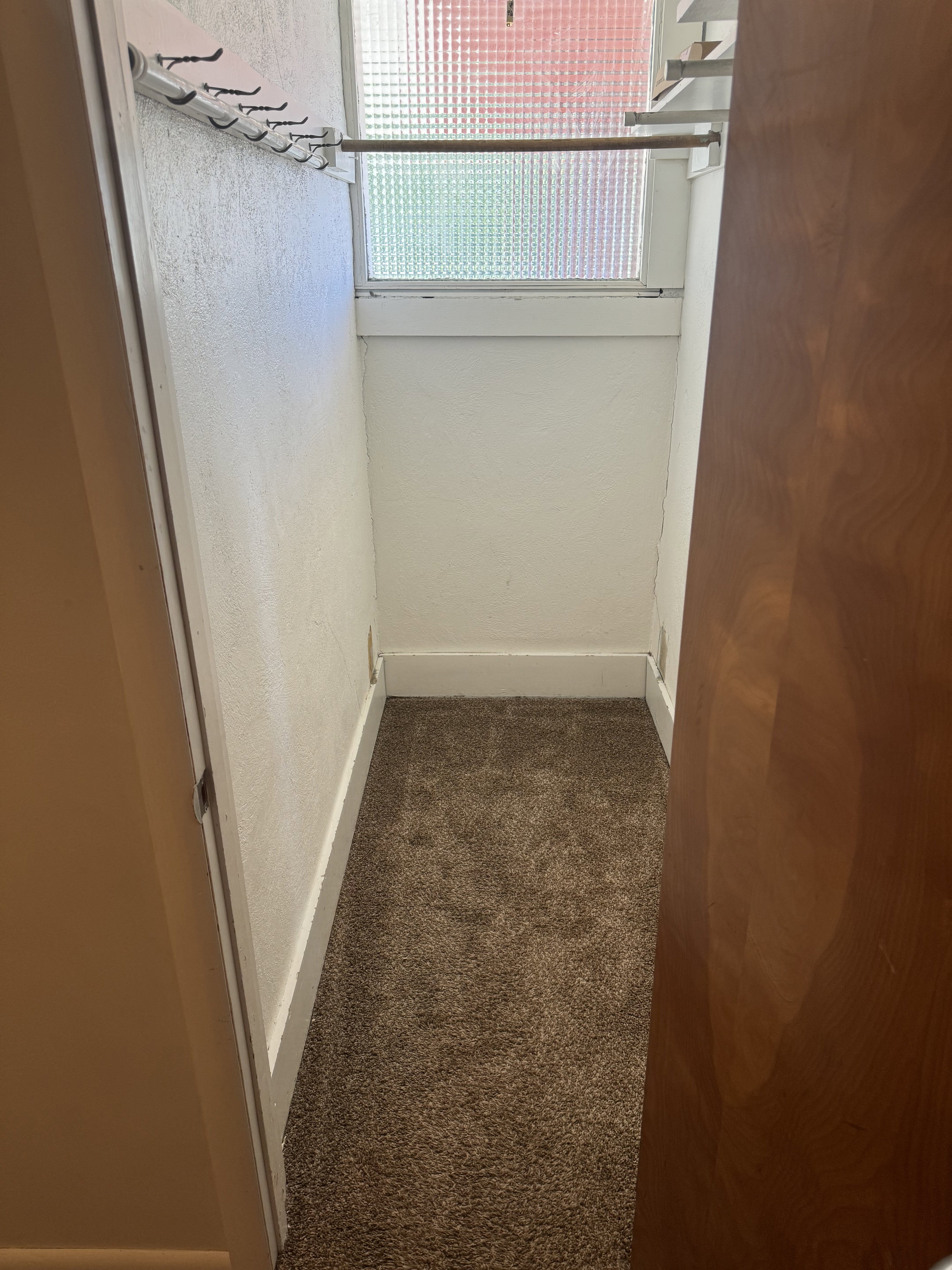 Compact closet space featuring brown pile carpeting, a textured glass window, a white clothing rod, and a white coat rack with multiple hooks