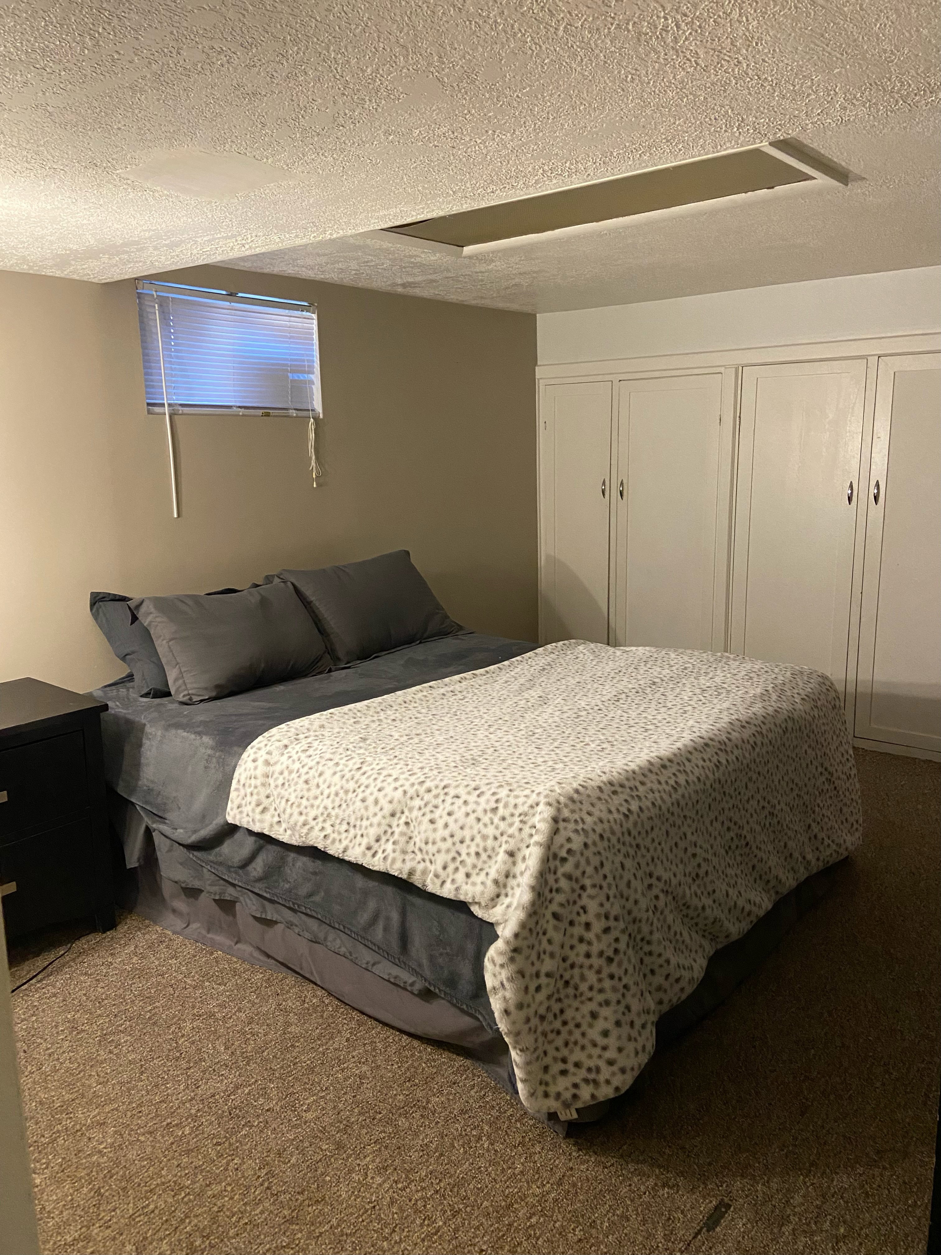 Built-in cabinetry with white panel doors, neutral wall tones, textured ceiling, brown carpet flooring, and a window with horizontal blinds